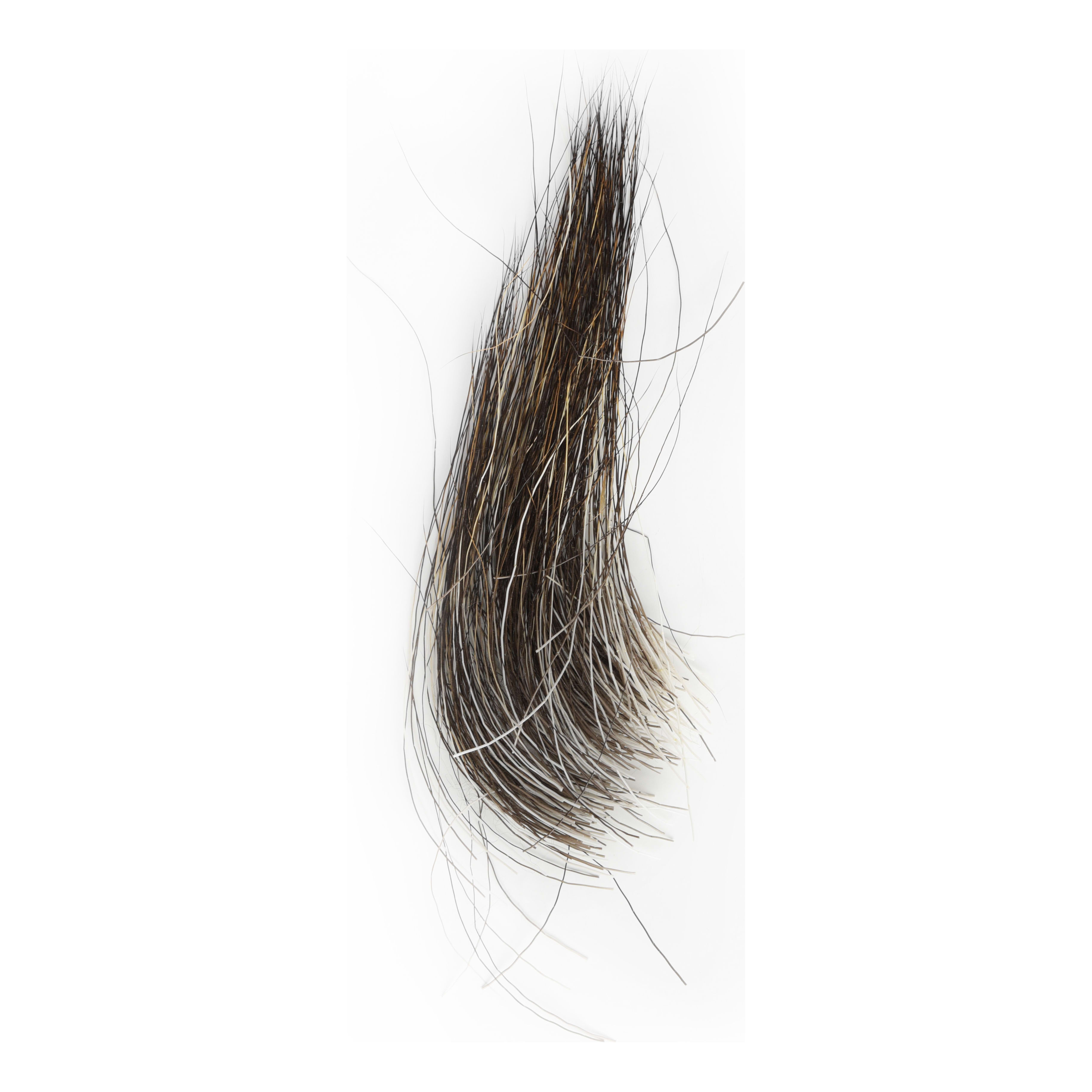 Wapsi Moose Mane Hair