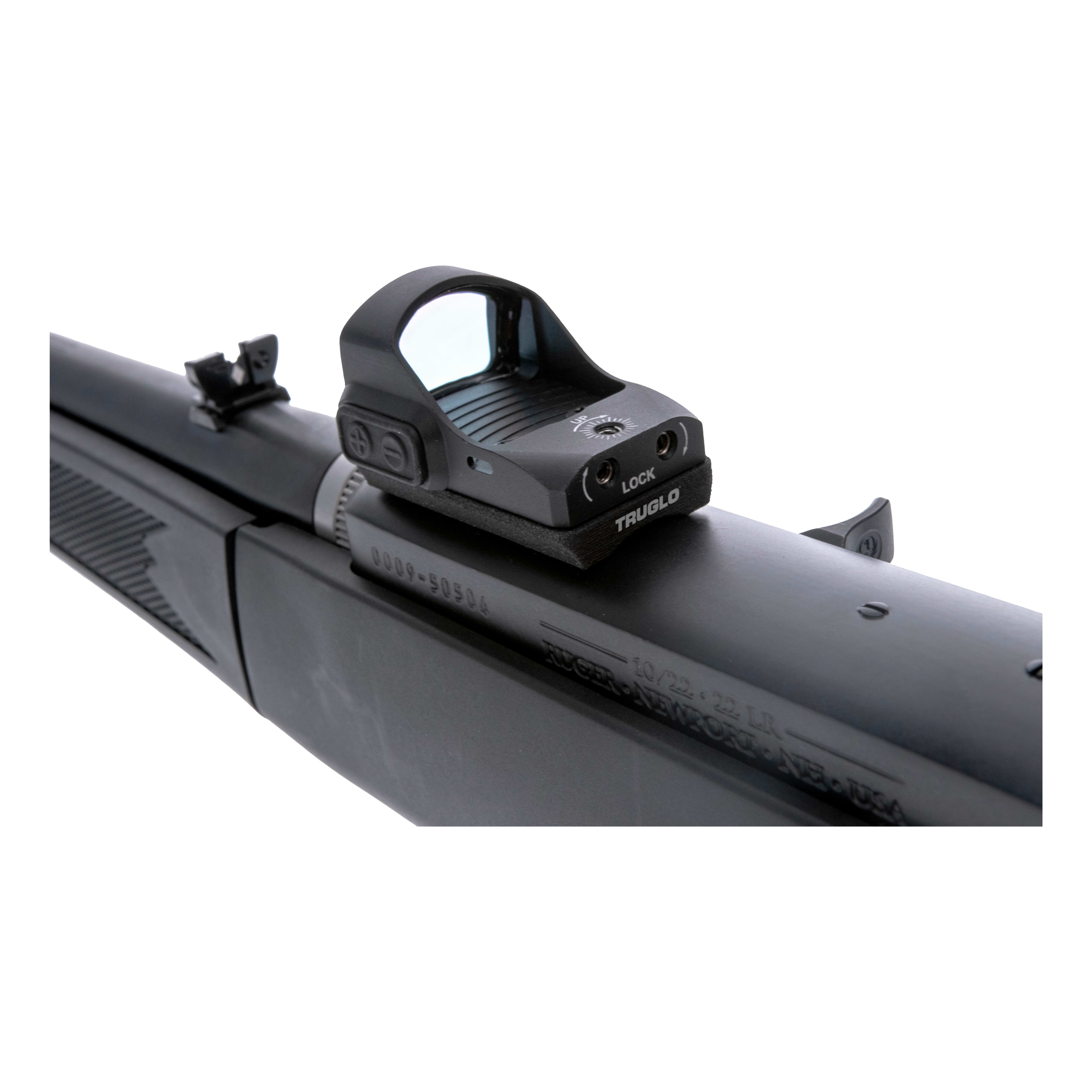 Ruger 10/22 cabelas