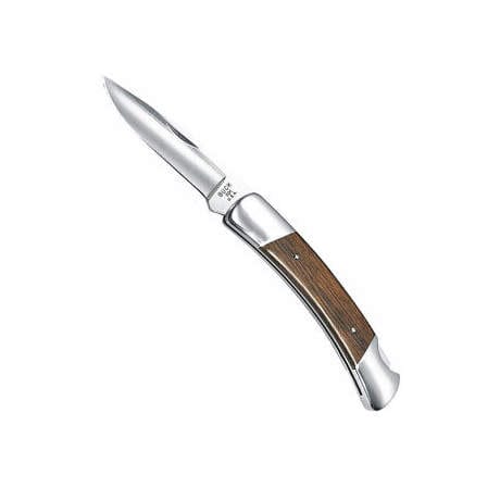 Buck 501 Squire Folding Knife