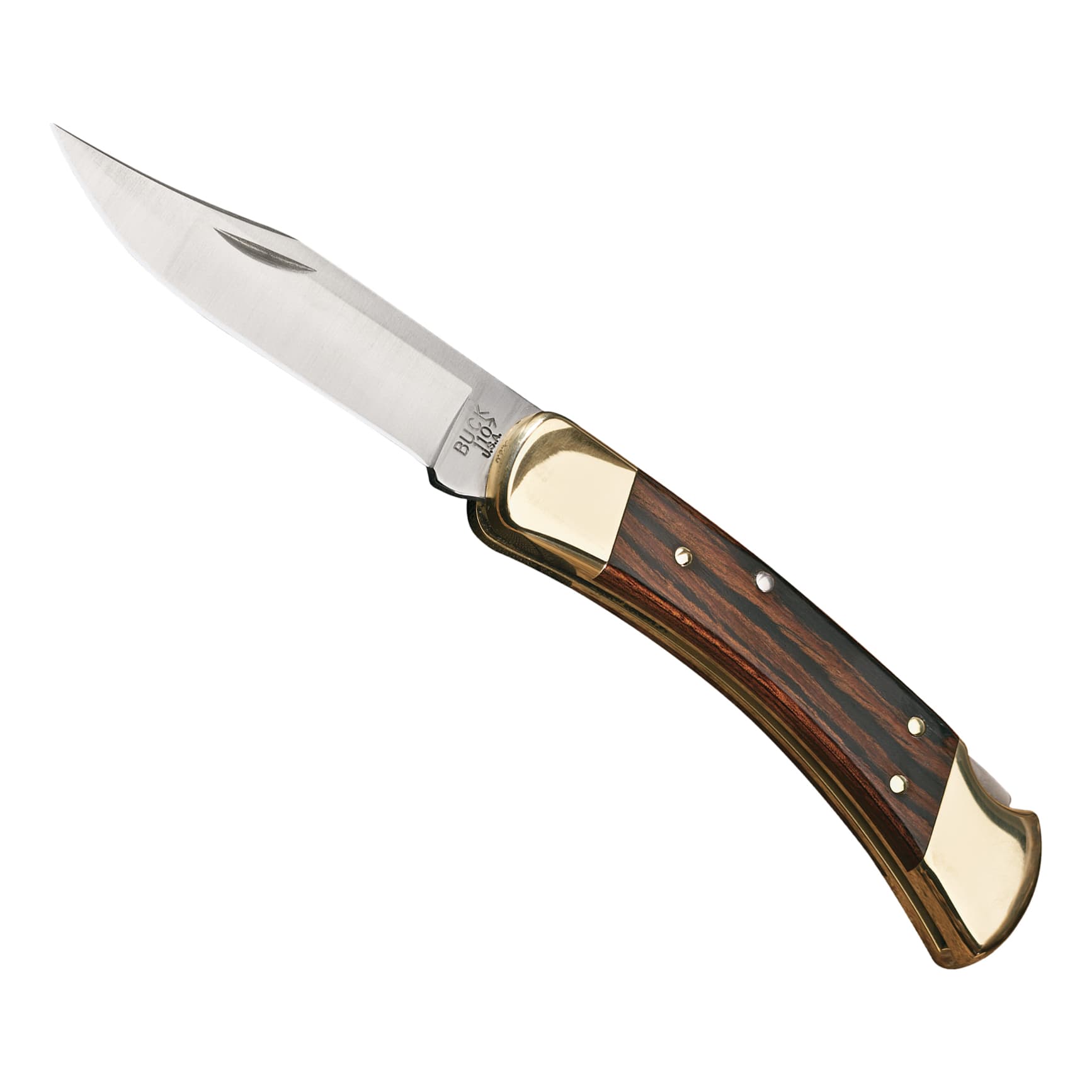 Buck 110 Hunter Folding Knife