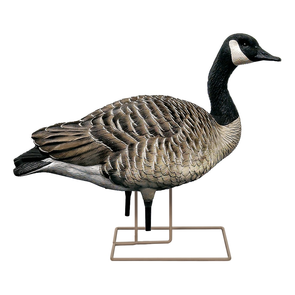 AvianX® Fusion Honker GooseDecoy Pack Cabela's Canada