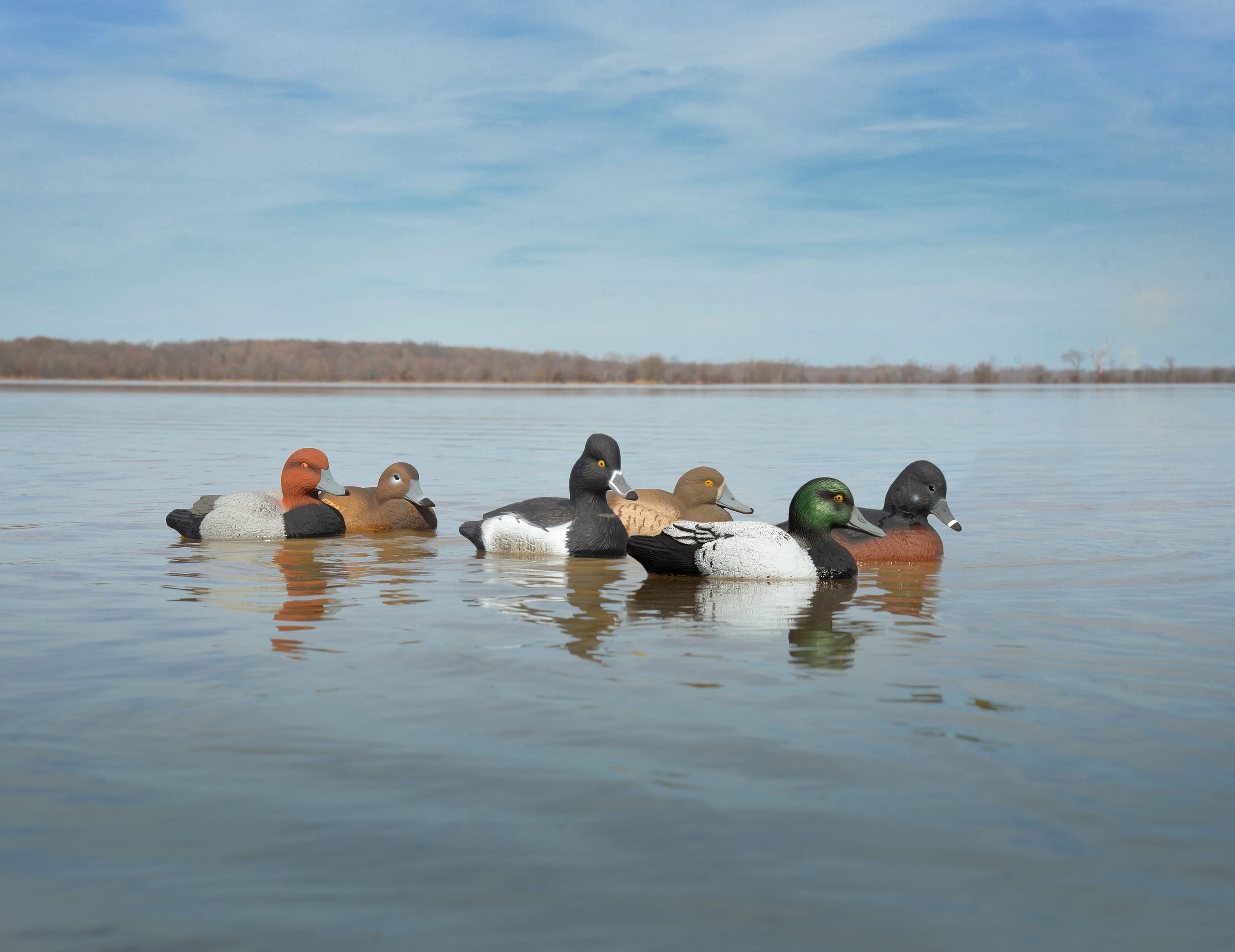 Higdon Outdoors Standard FoamFilled Diver Duck Decoy Pack Cabela's