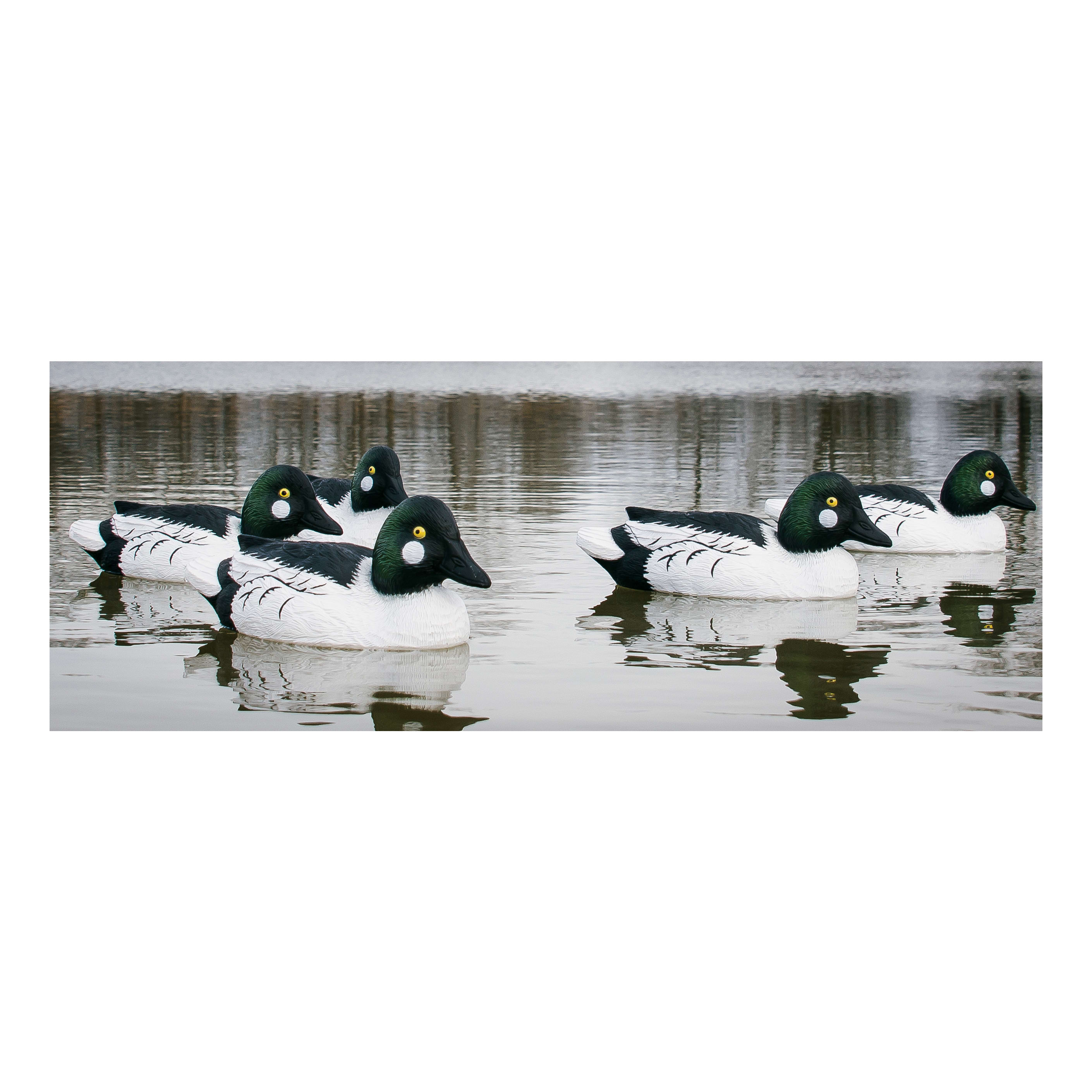 Higdon Outdoors Standard FoamFilled Goldeneye Drake Decoys SixPack