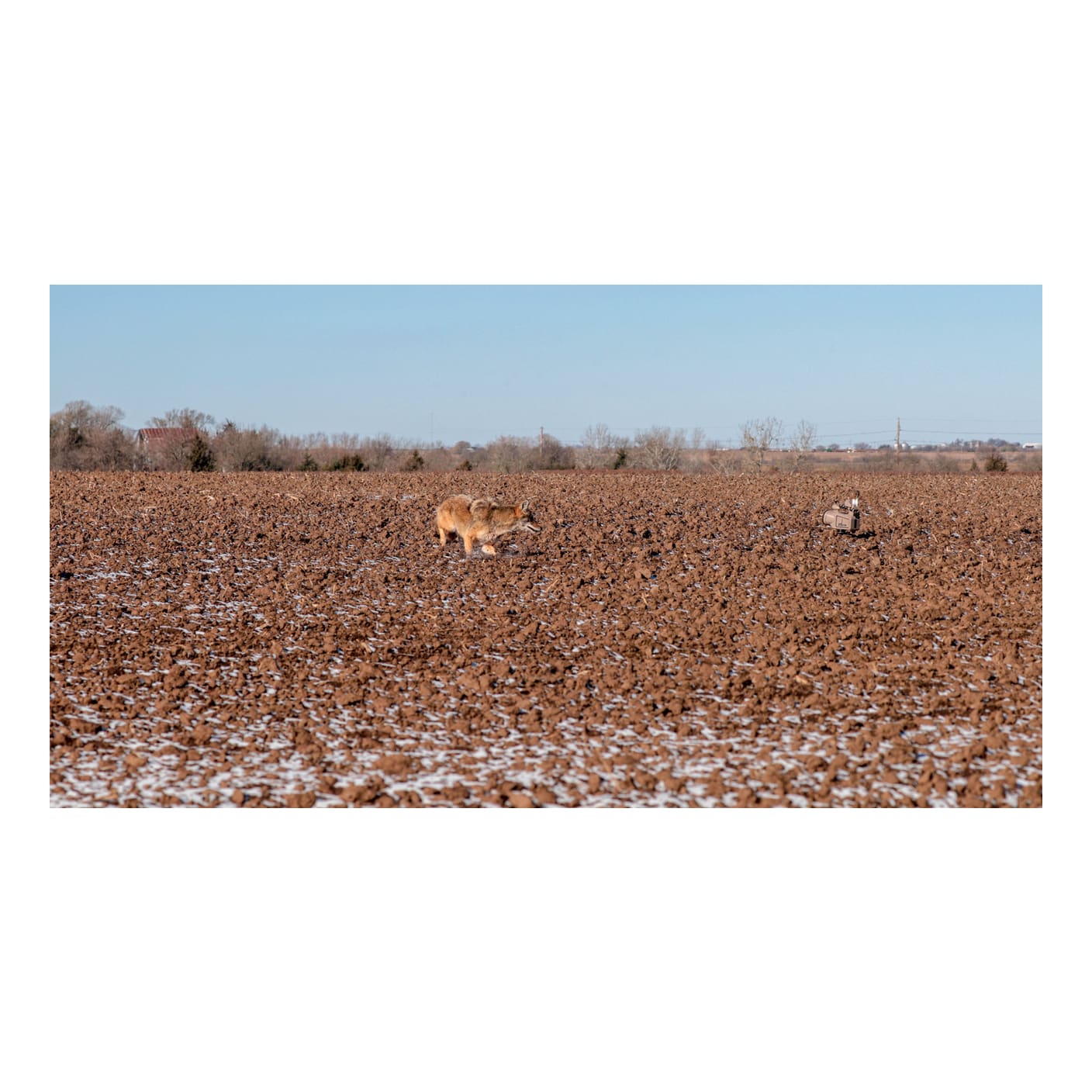 Lucky Duck™ Revolt Predator ECaller Cabela's Canada