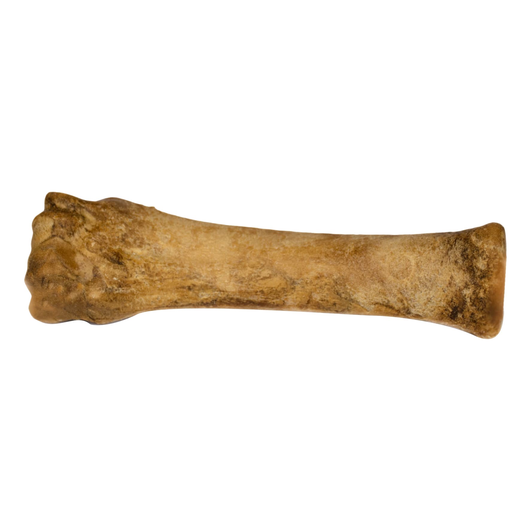 Nylabone Roast Beef Souper Chew Single Dog Treat Cabela's Canada