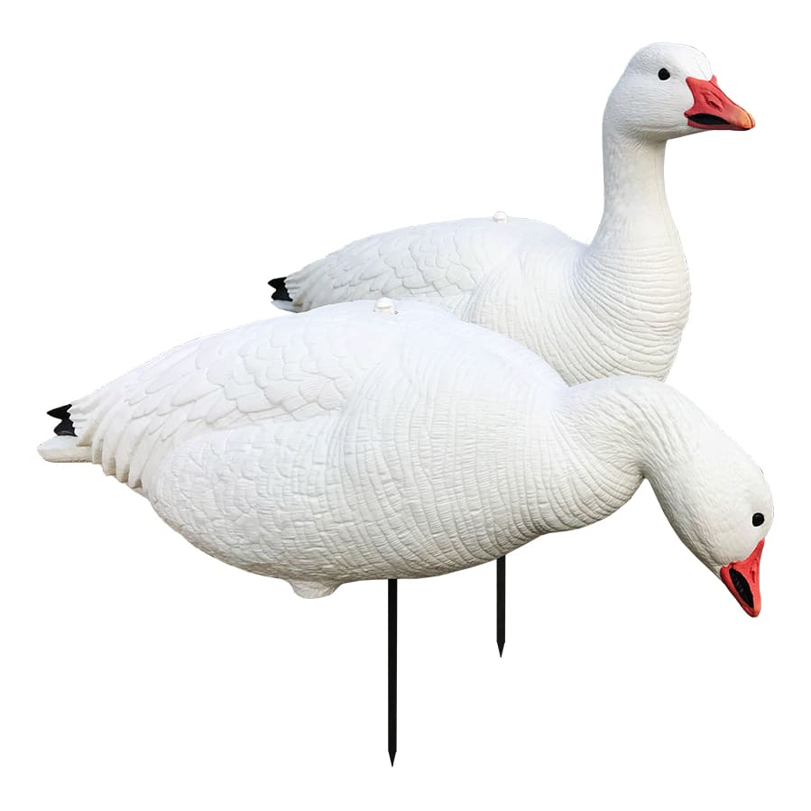 White Rock Canada Goose Decoys Review