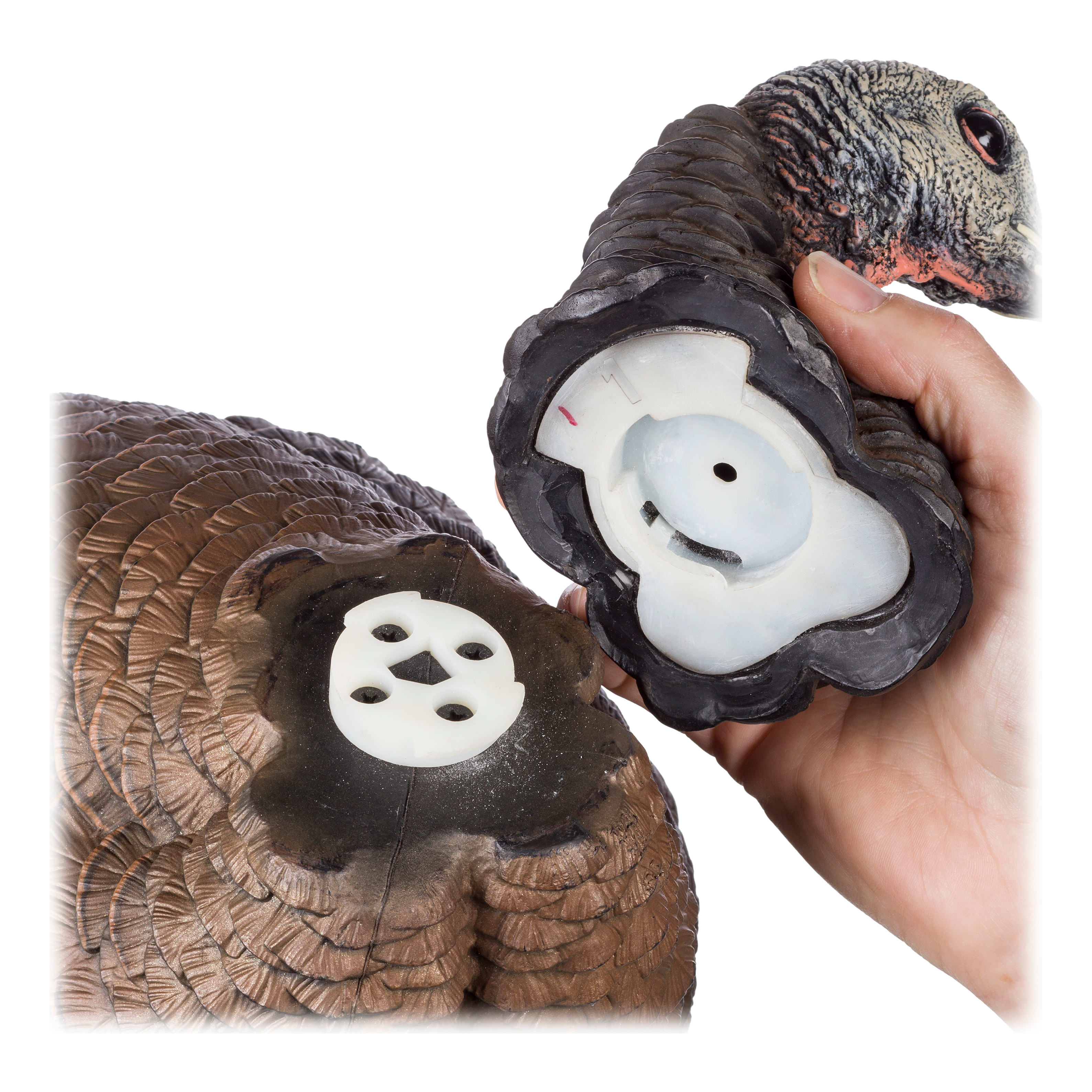 AvianX® HDR Jake and Hen Turkey Decoy Combo Cabela's Canada