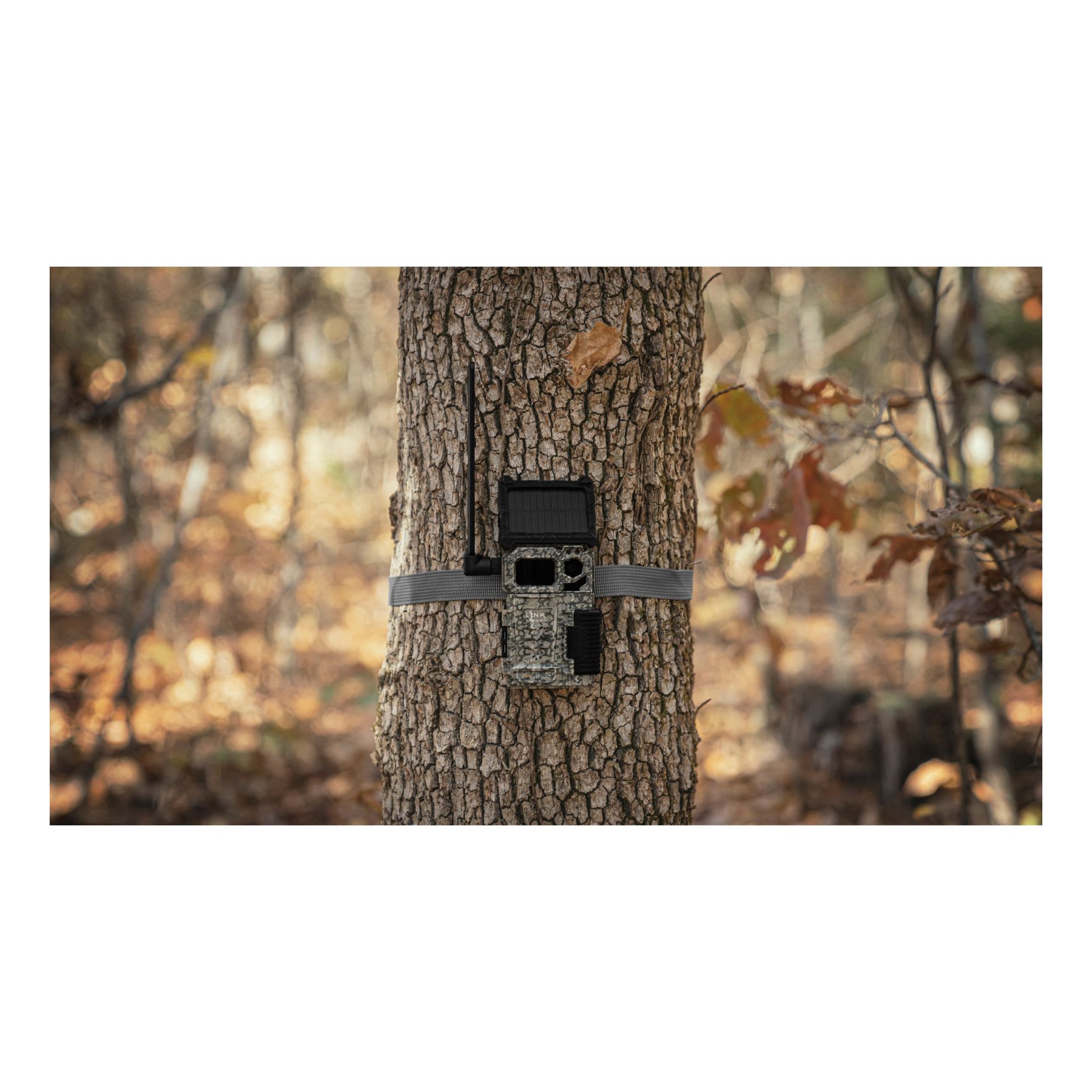 SPYPOINT® LINK MICRO S LTE Cellular Trail Camera Cabela's Canada