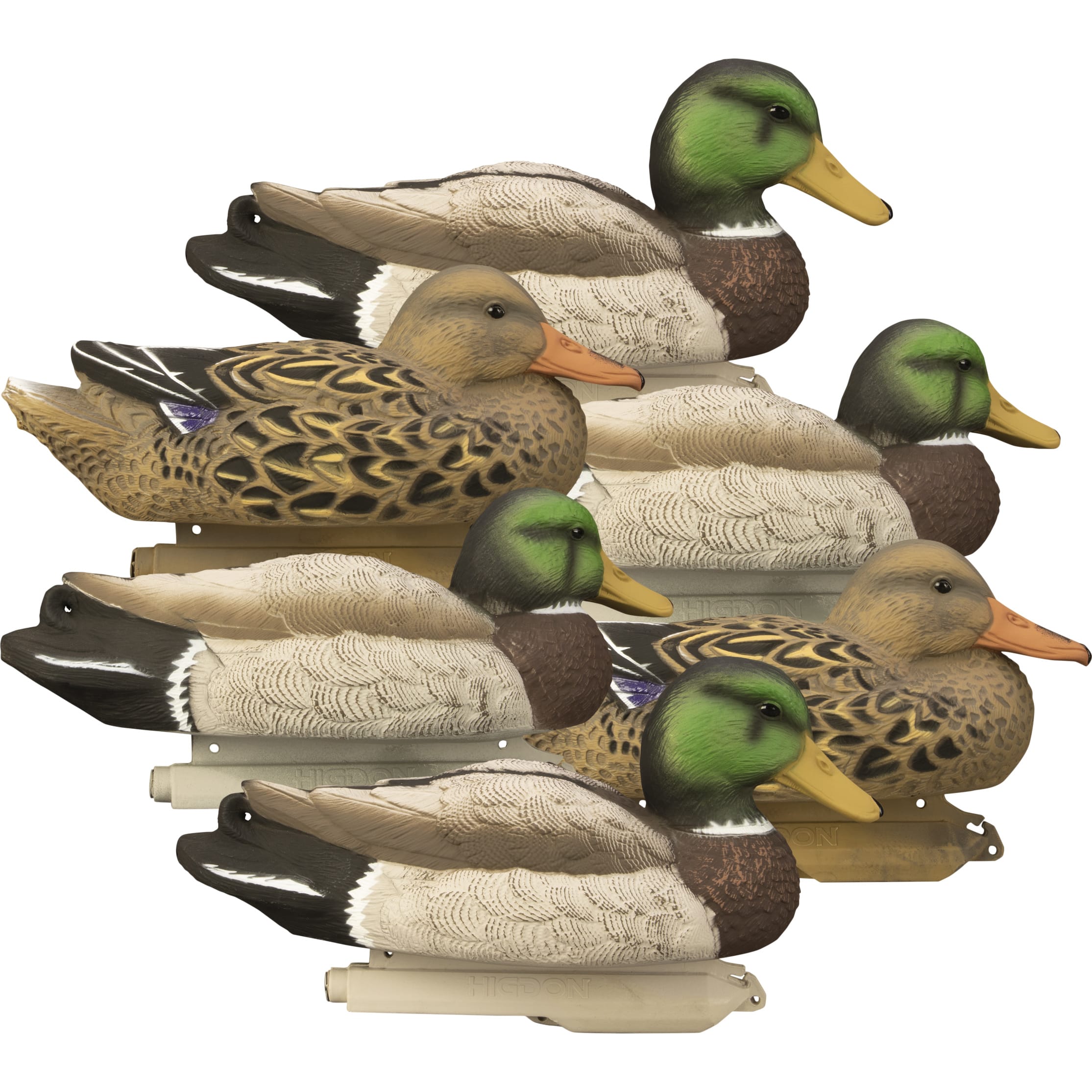 Higdon Outdoors Standard Foam-Filled Mallard Duck Decoys | Cabela's Canada