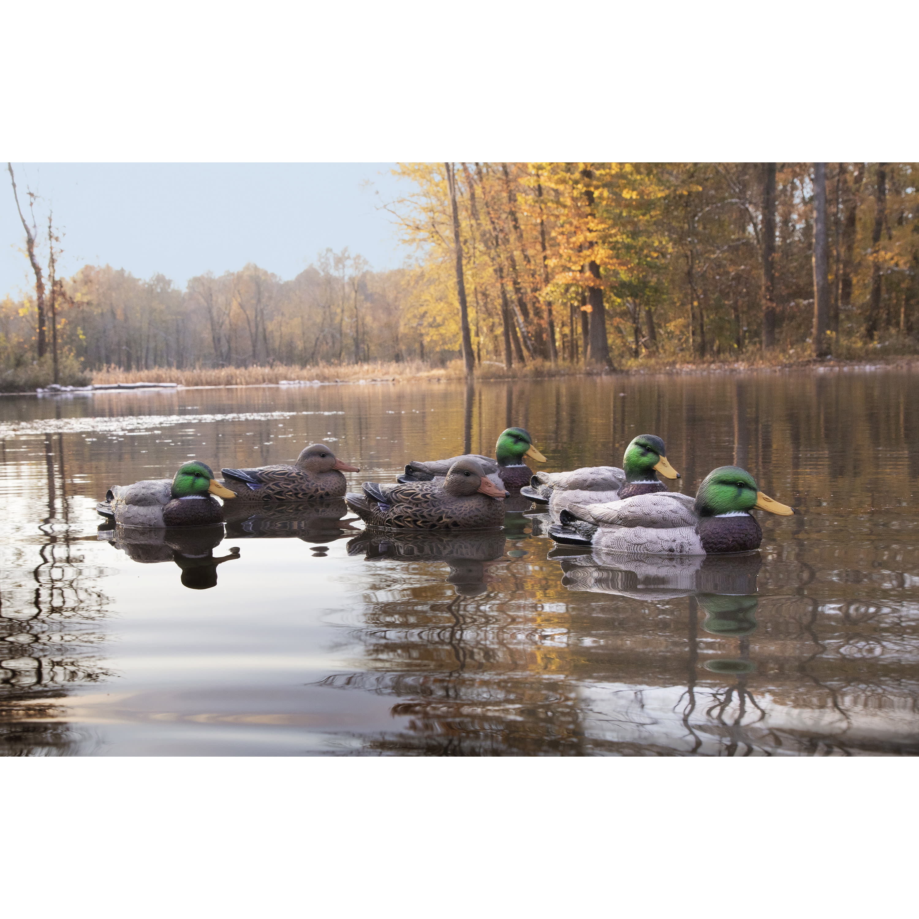 Higdon Outdoors Standard FoamFilled Mallard Duck Decoys Cabela's Canada