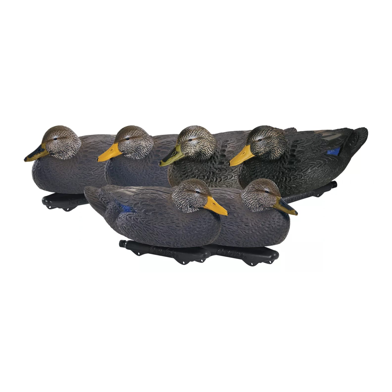 Northern Flight® Black Duck Decoys | Cabela's Canada
