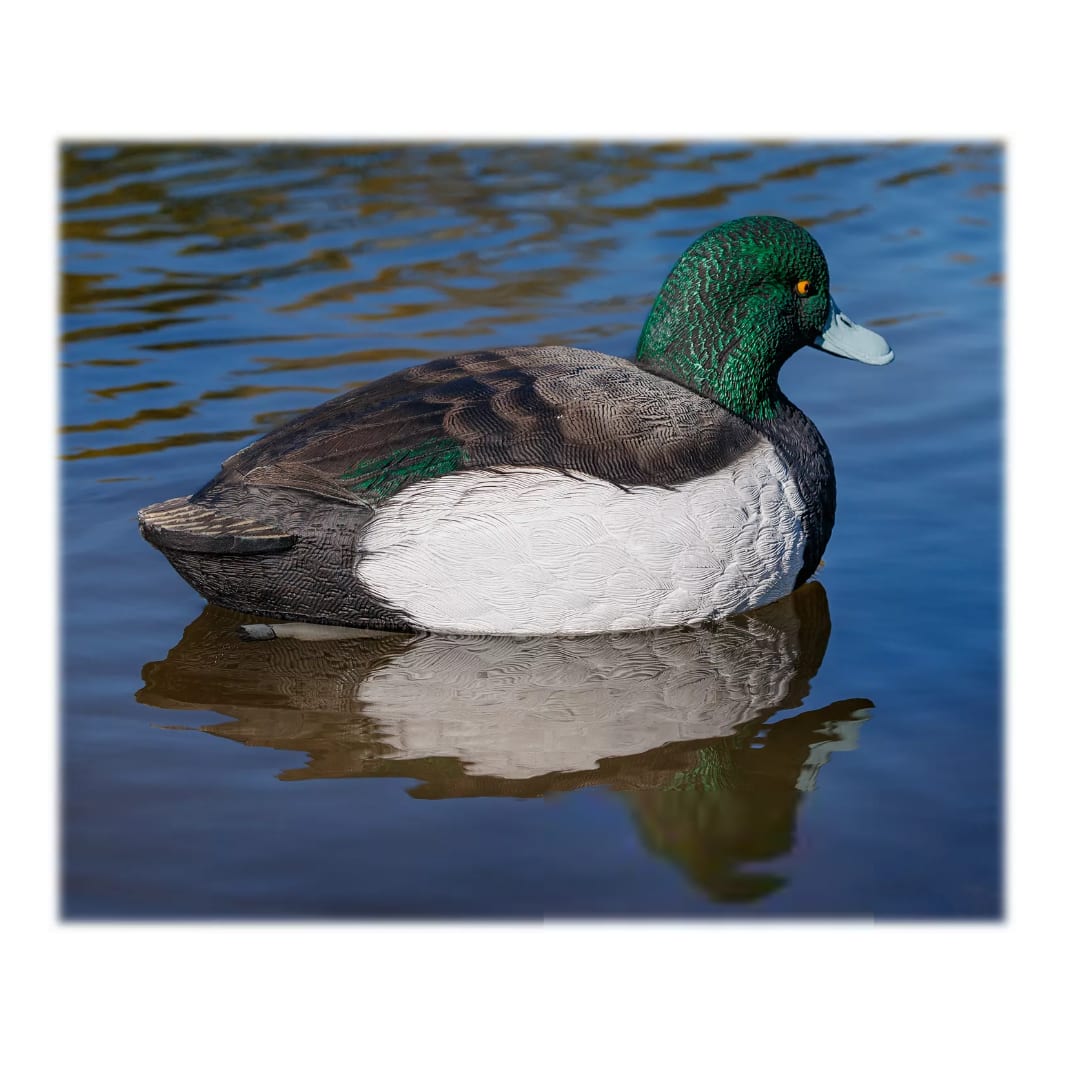 Northern Flight® Bluebill Duck Decoys Cabela's Canada