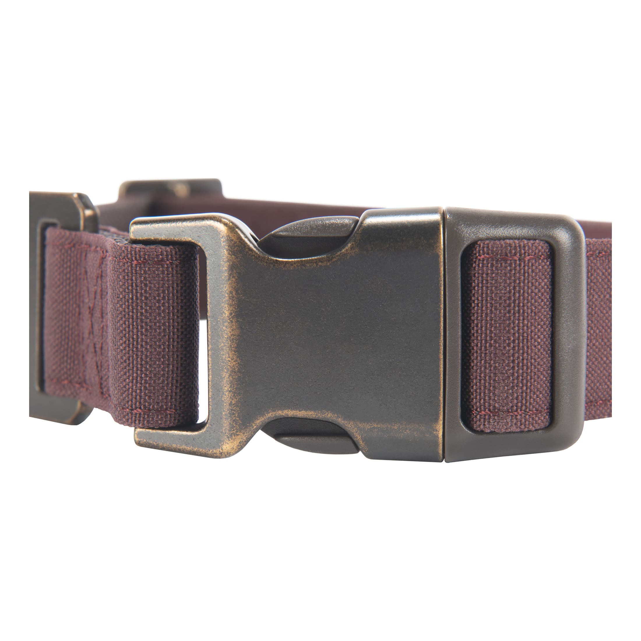 Carhartt® Nylon Duck Dog Collar | Cabela's Canada