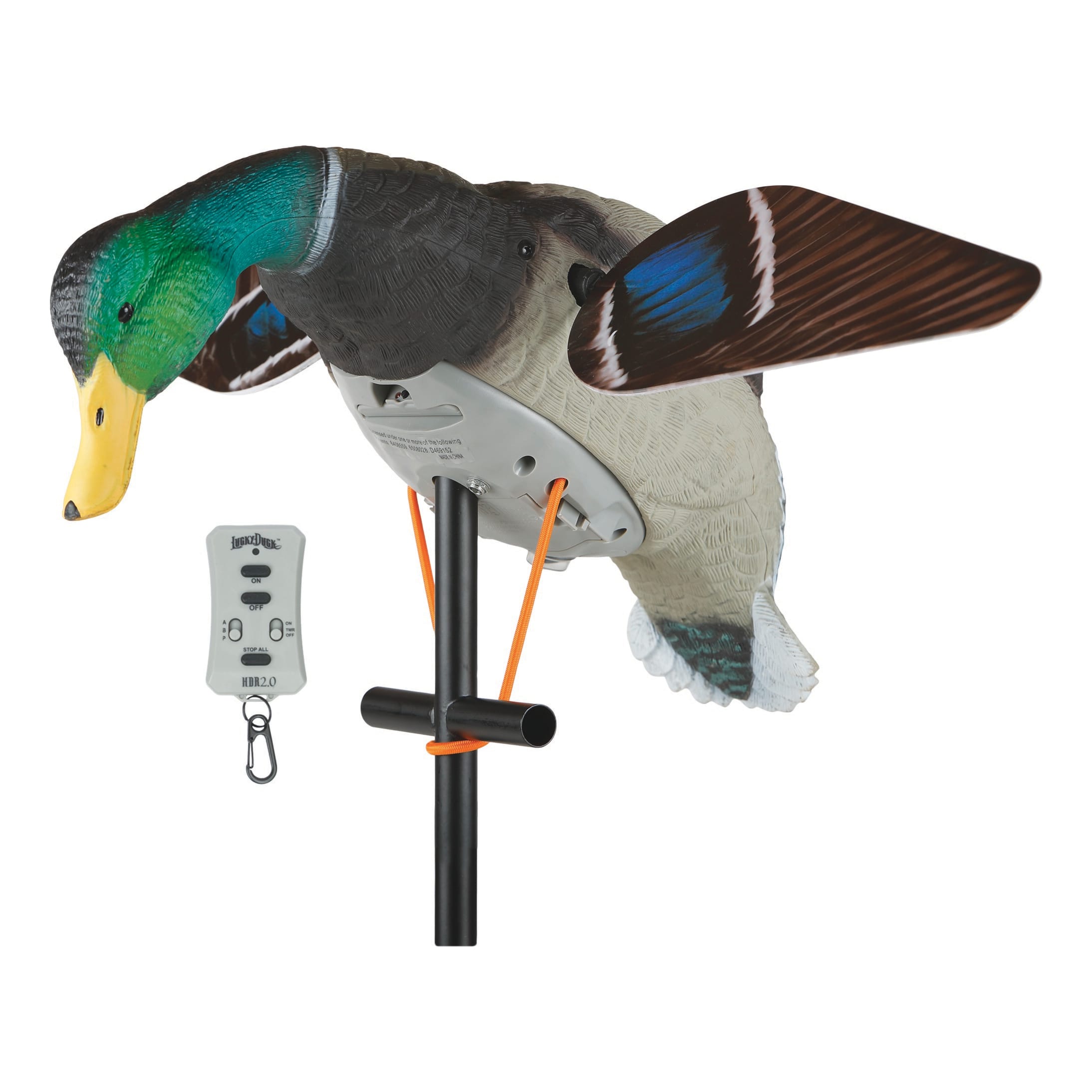 Lucky Duck® Lucky HD™ Motorized Mallard Decoy with Remote 2.0 Cabela