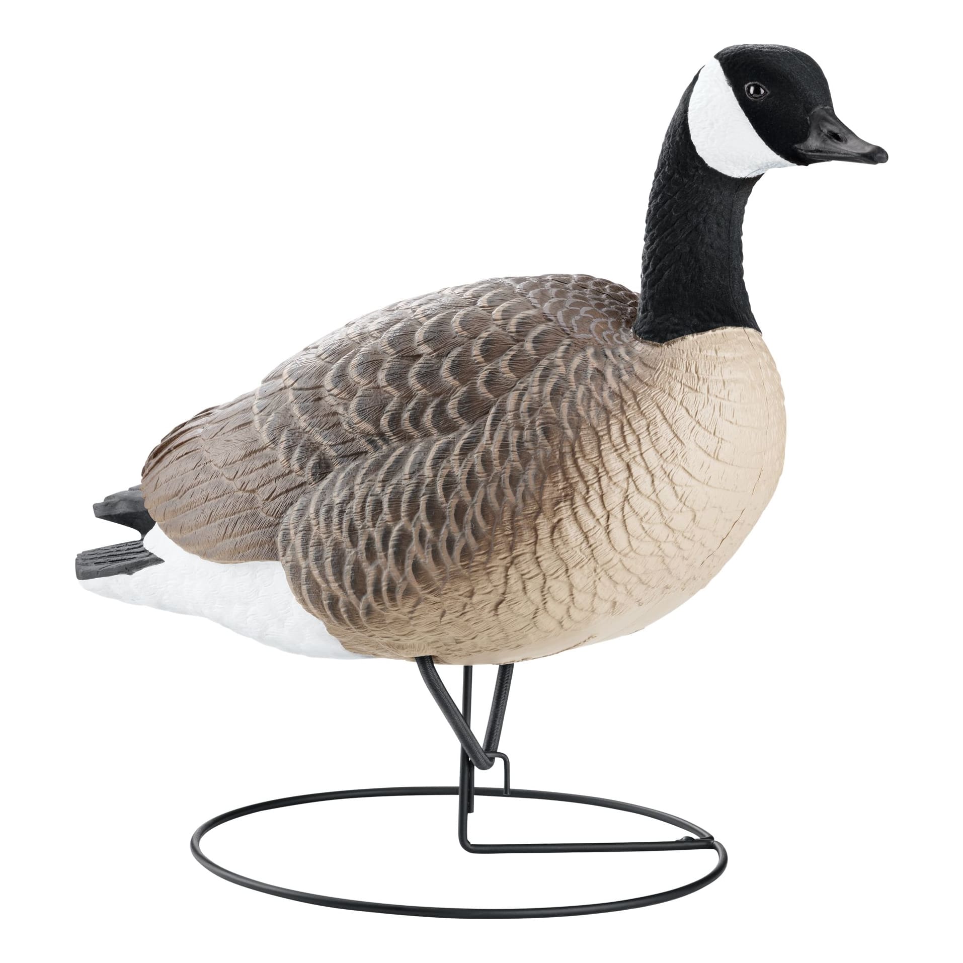 Northern Flight® FullBody Canada Goose Decoys Cabela's Canada