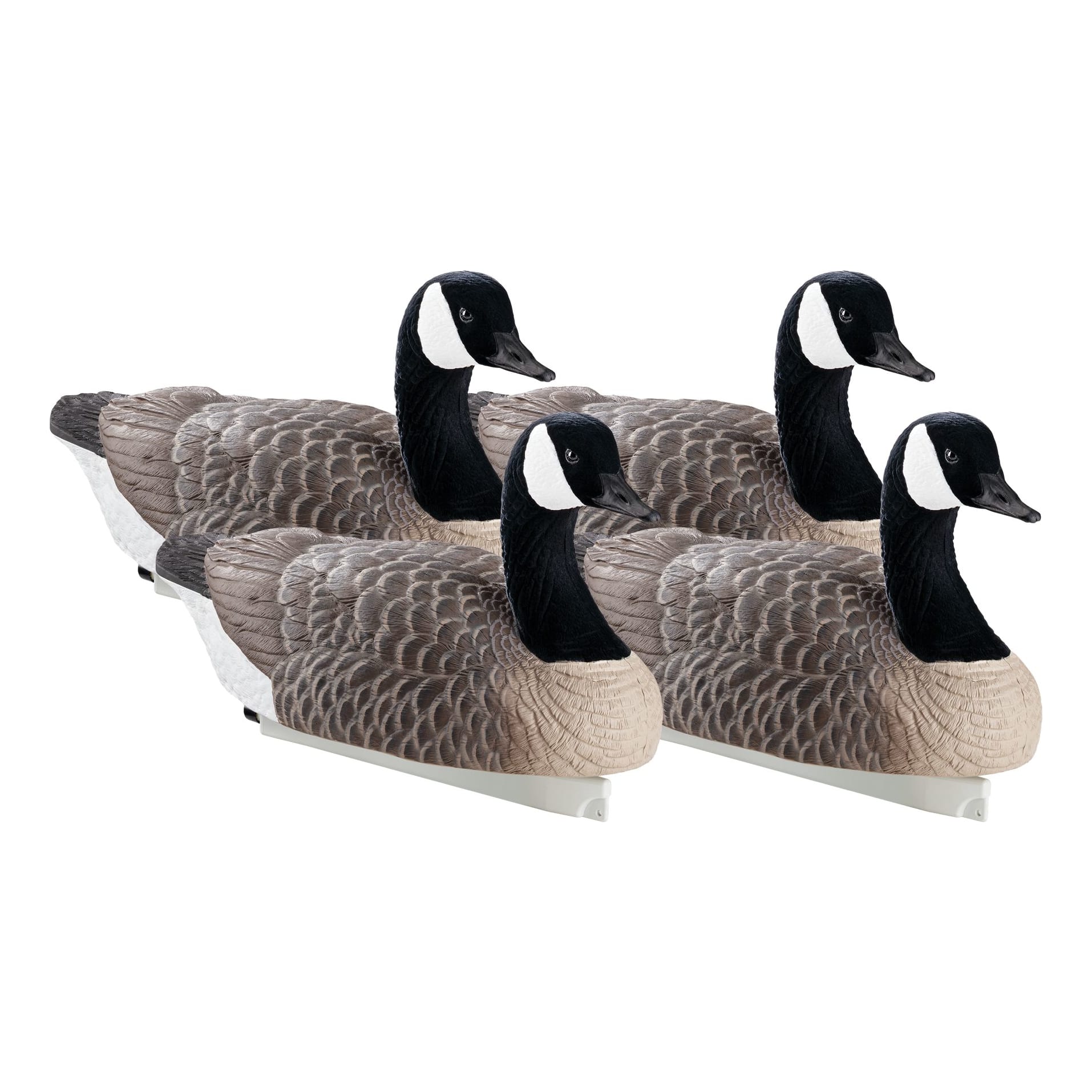 Northern Flight® Floater Canada Goose Decoys Cabela's Canada