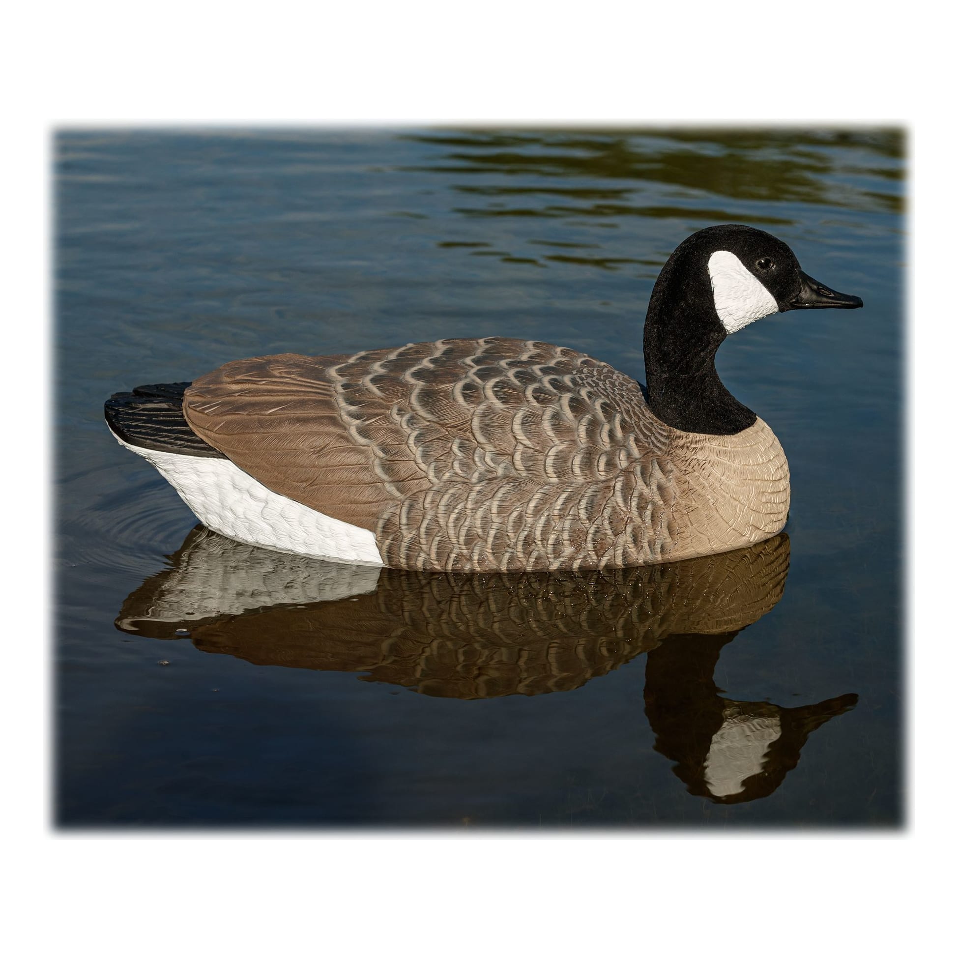 Northern Flight® Floater Canada Goose Decoys Cabela's Canada