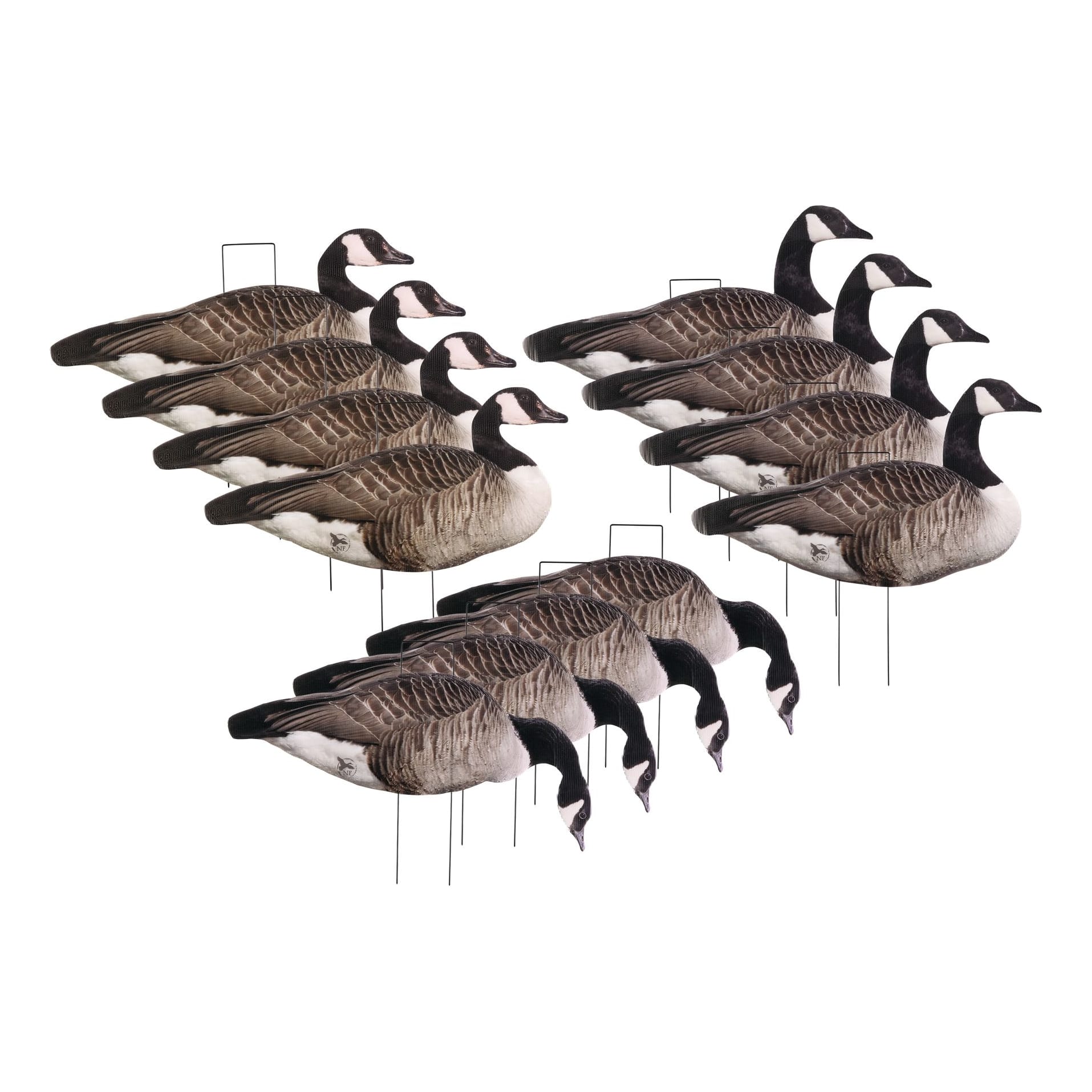 Northern Flight® Silhouette Canada Goose Decoys | Cabela's Canada