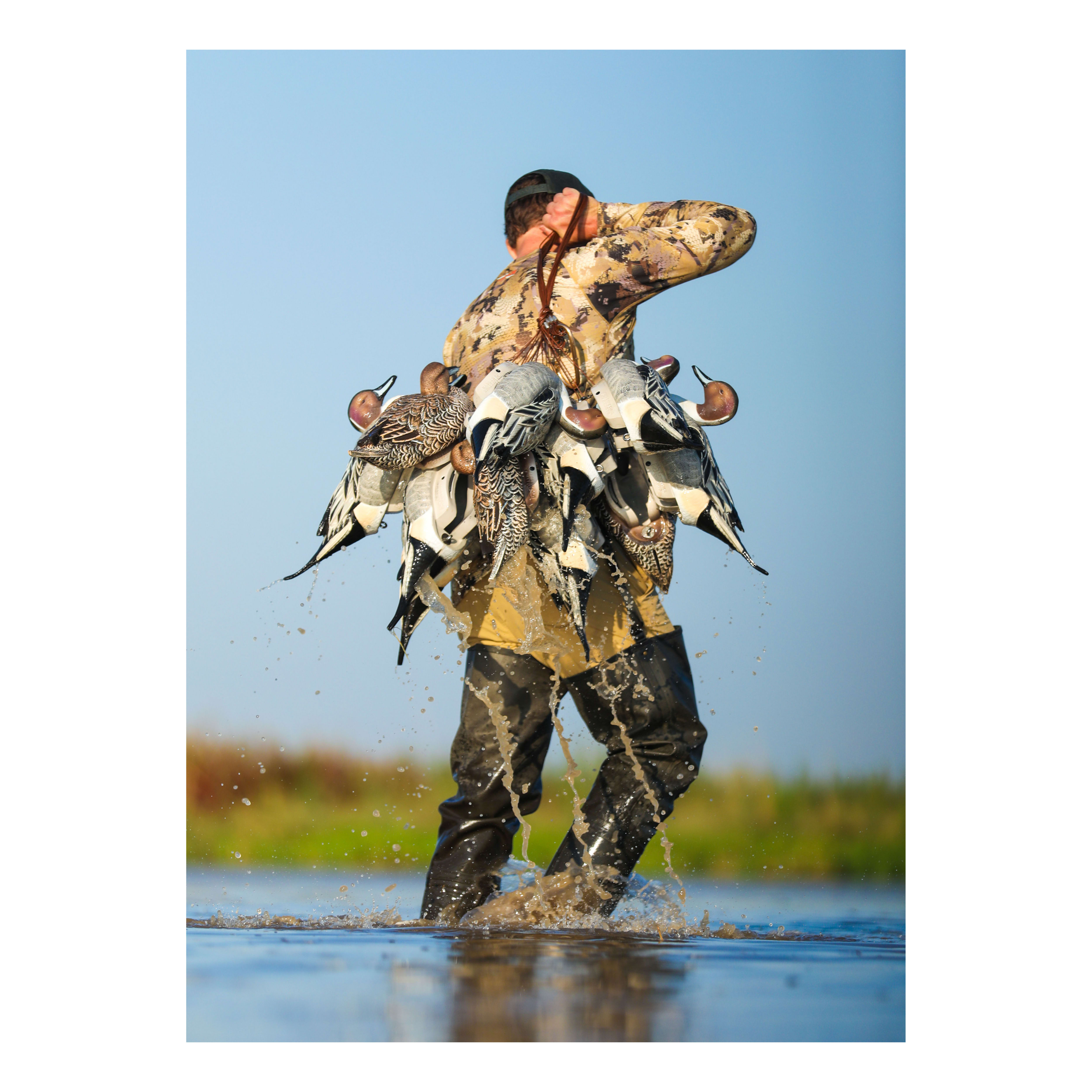 Lifetime Decoys® FlexFloat™ Pintail Decoys Cabela's Canada