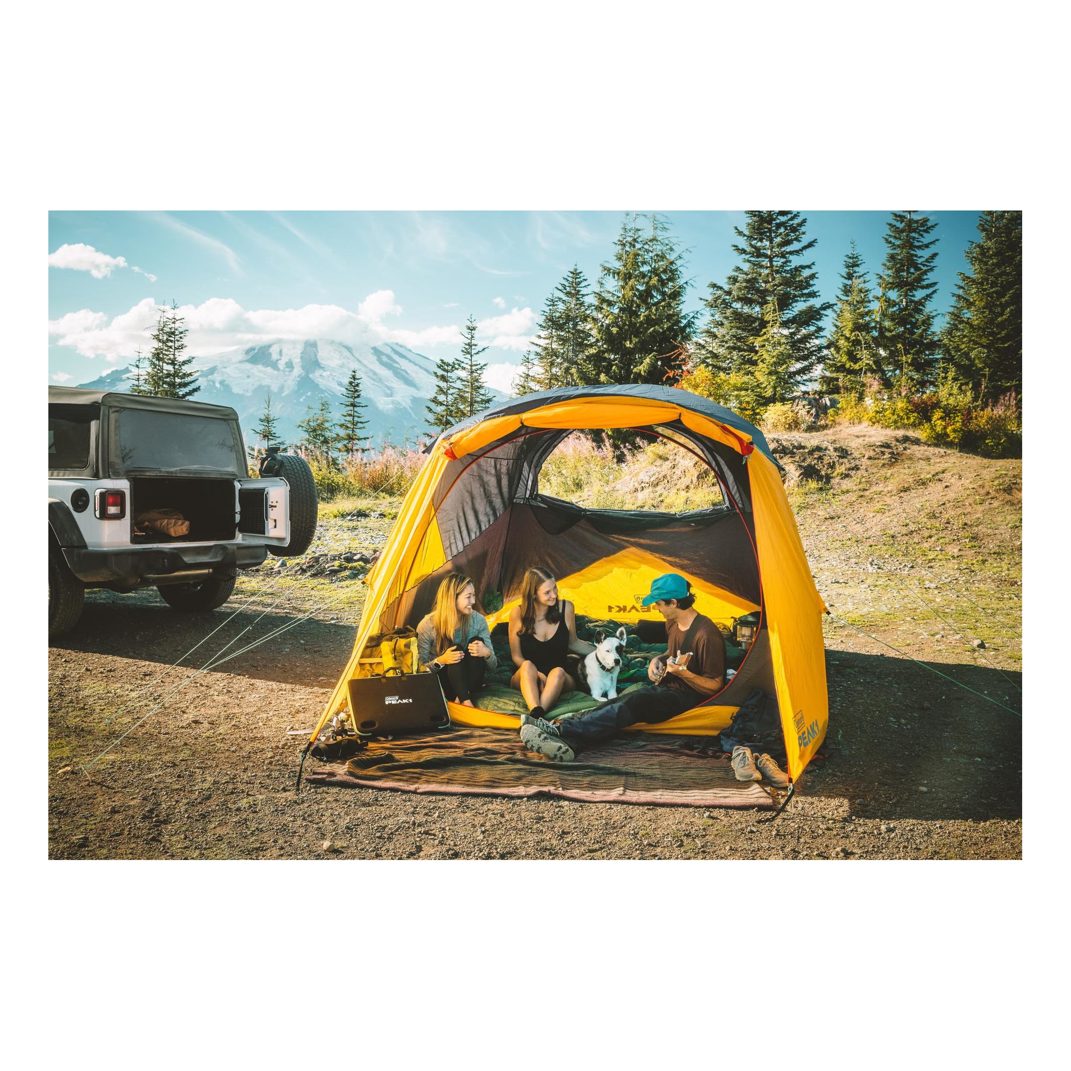 PEAK1™ 6-Person Dome Tent | Cabela's Canada