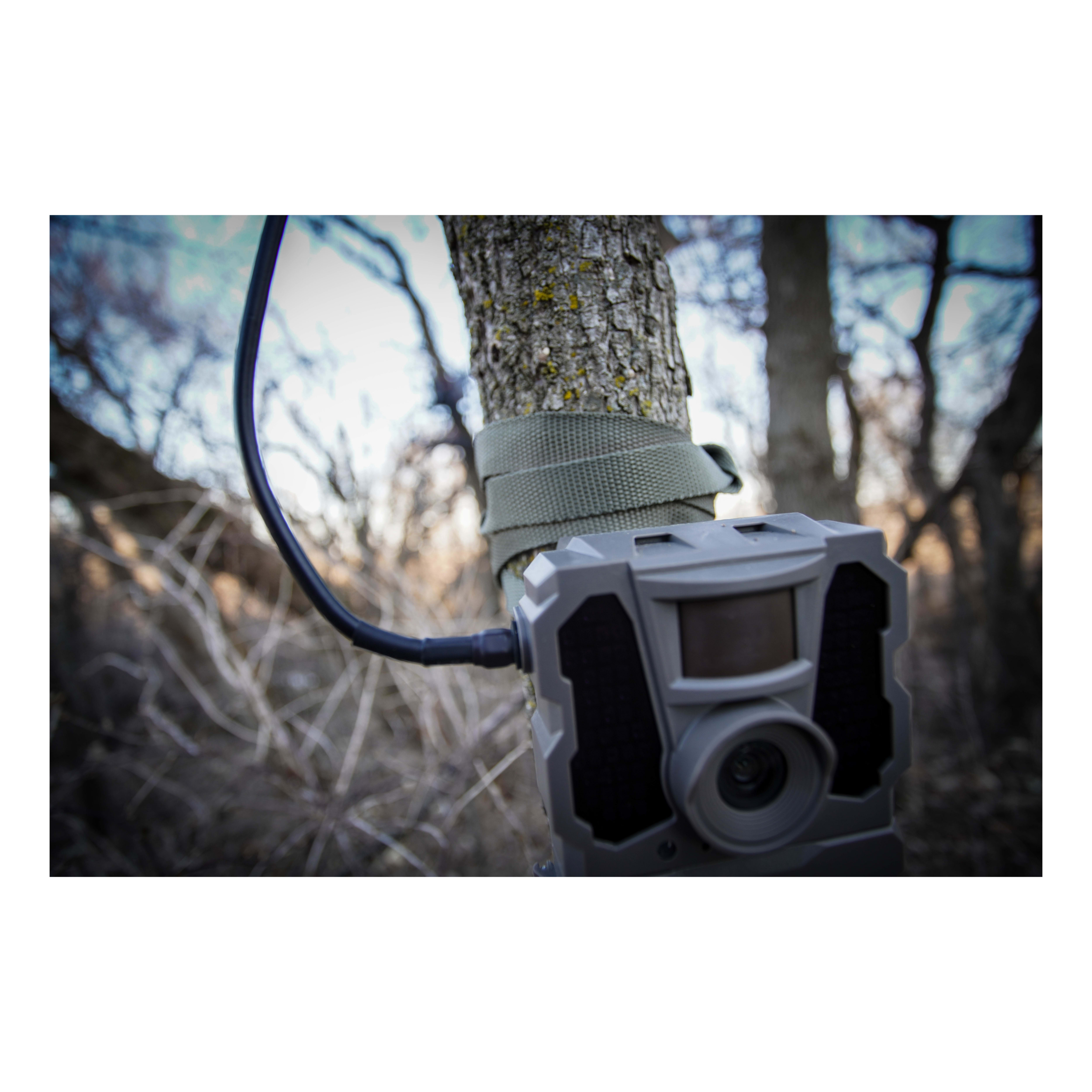 Tactacam™ REVEAL Extended Range Antenna Cabela's Canada