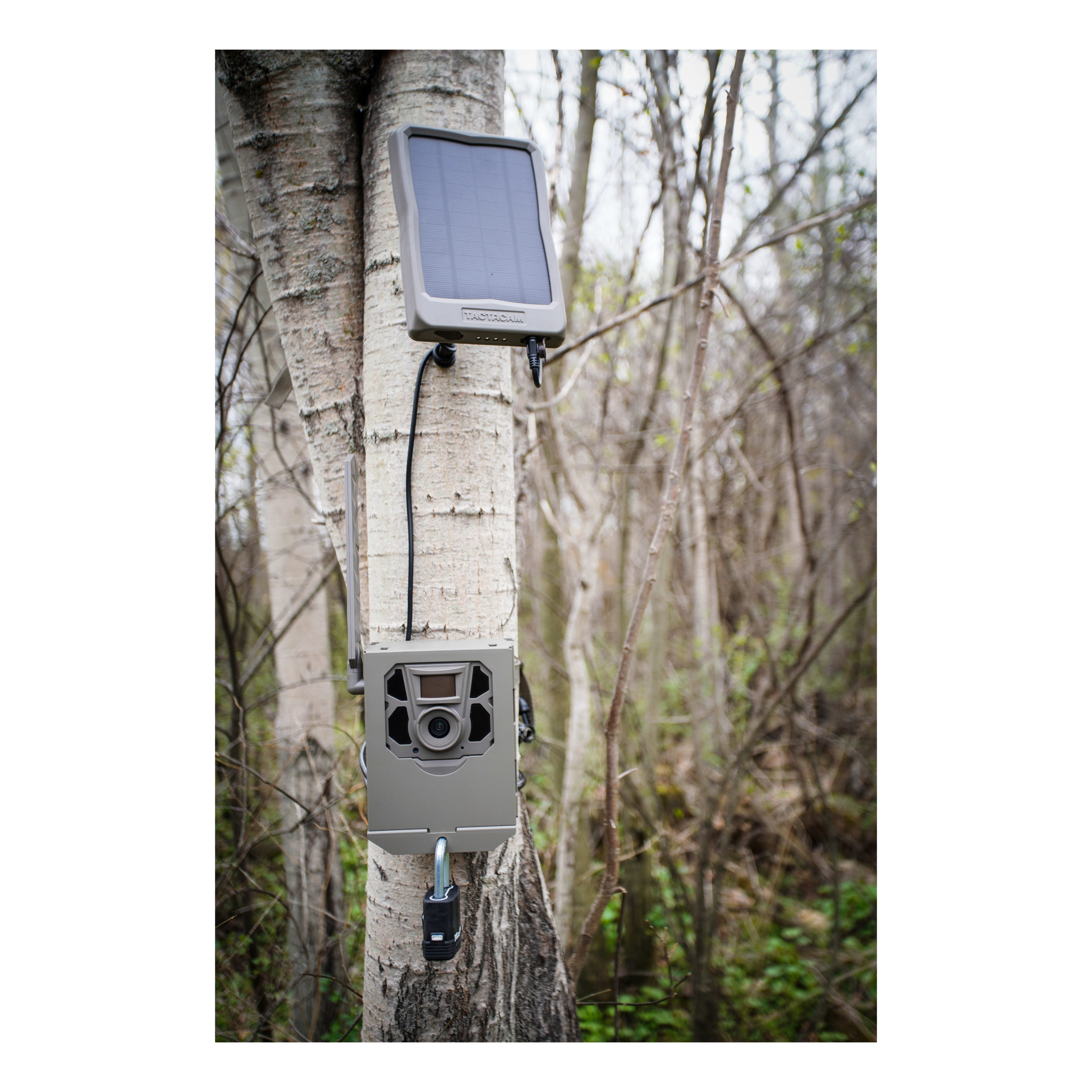 Tactacam™ External Solar Panel Cabela's Canada