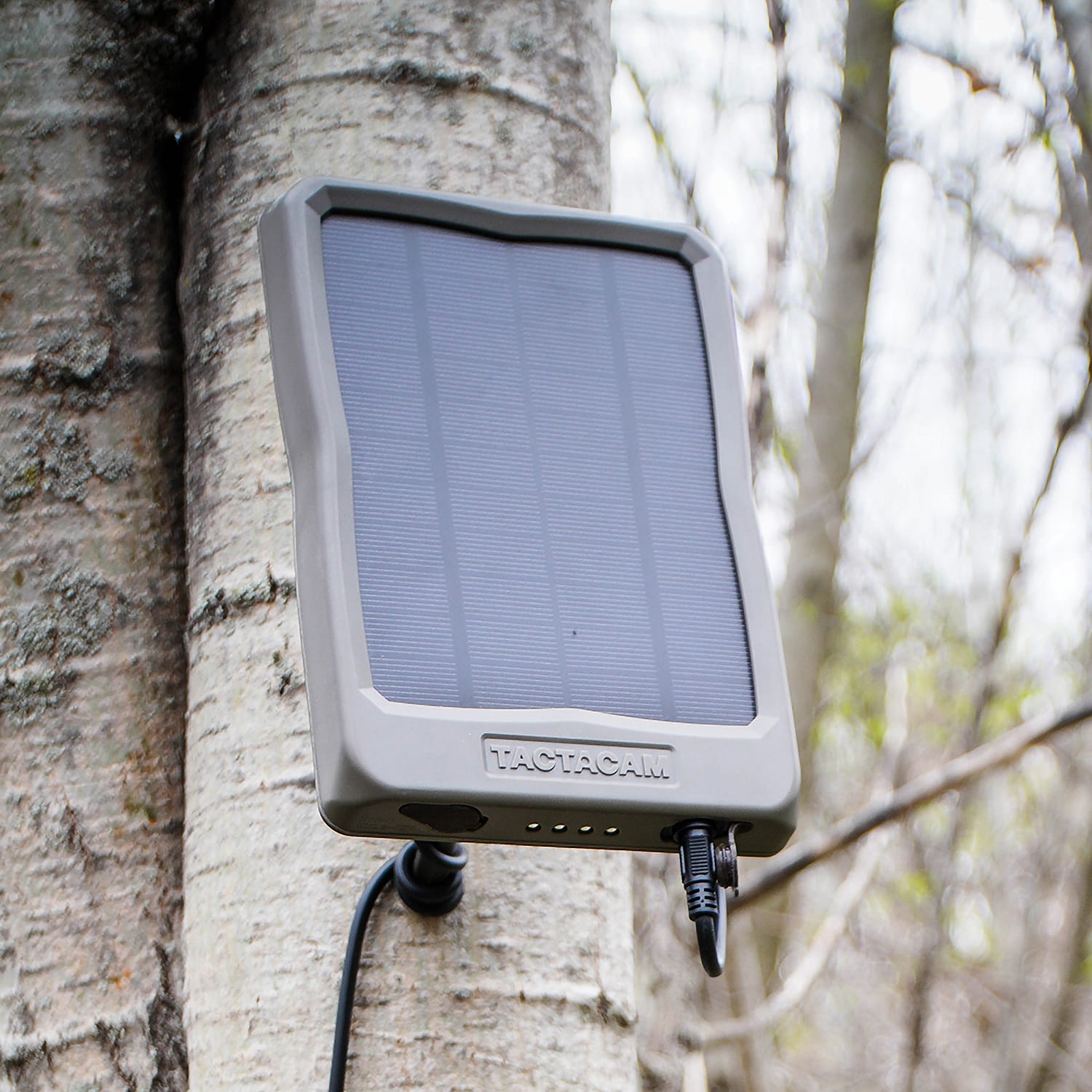 tactacam-reveal-external-solar-panel-cabela-s-canada