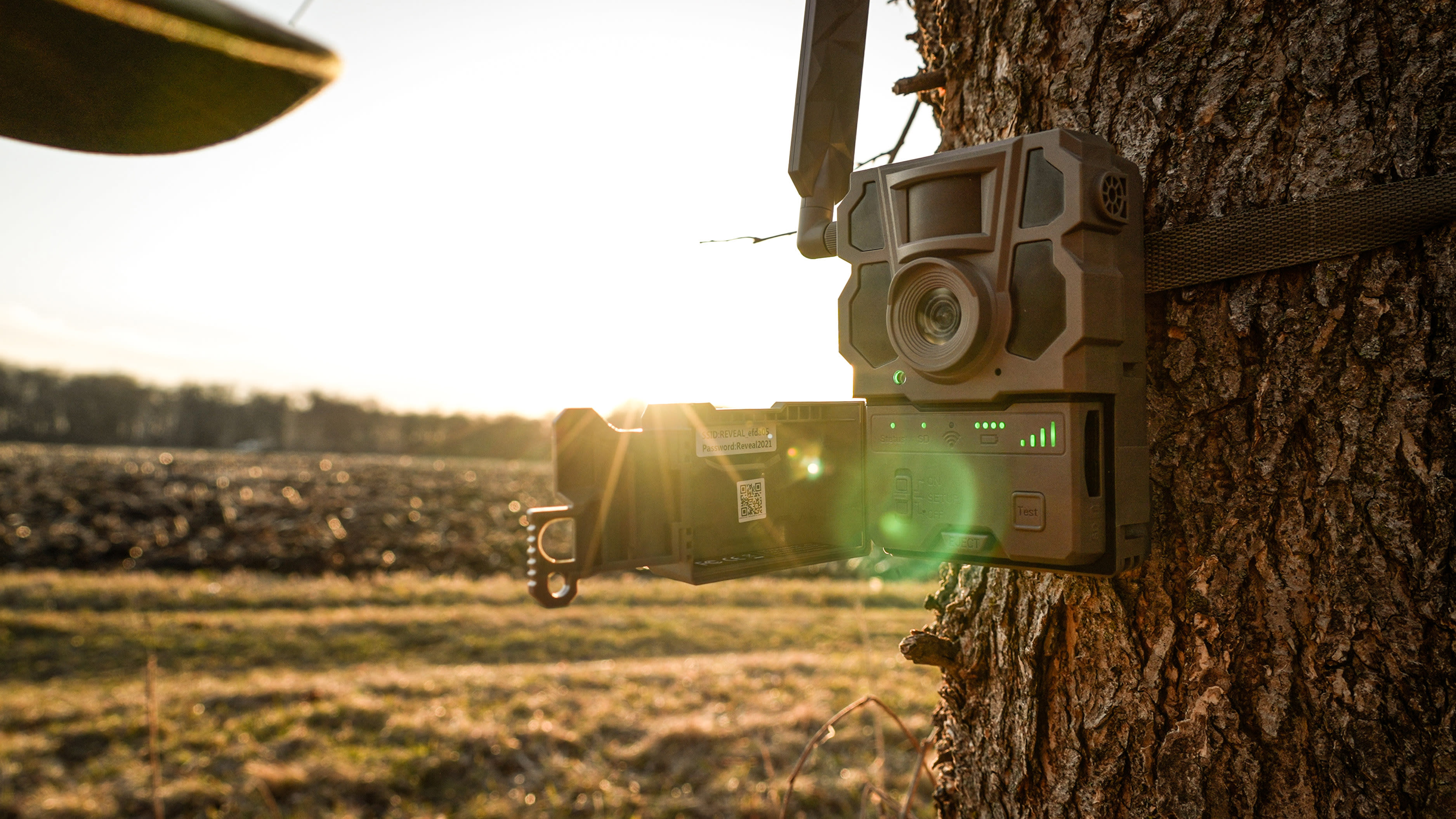 Tactacam™ REVEAL X Gen 2.0 Cellular Trail Camera Cabela's Canada