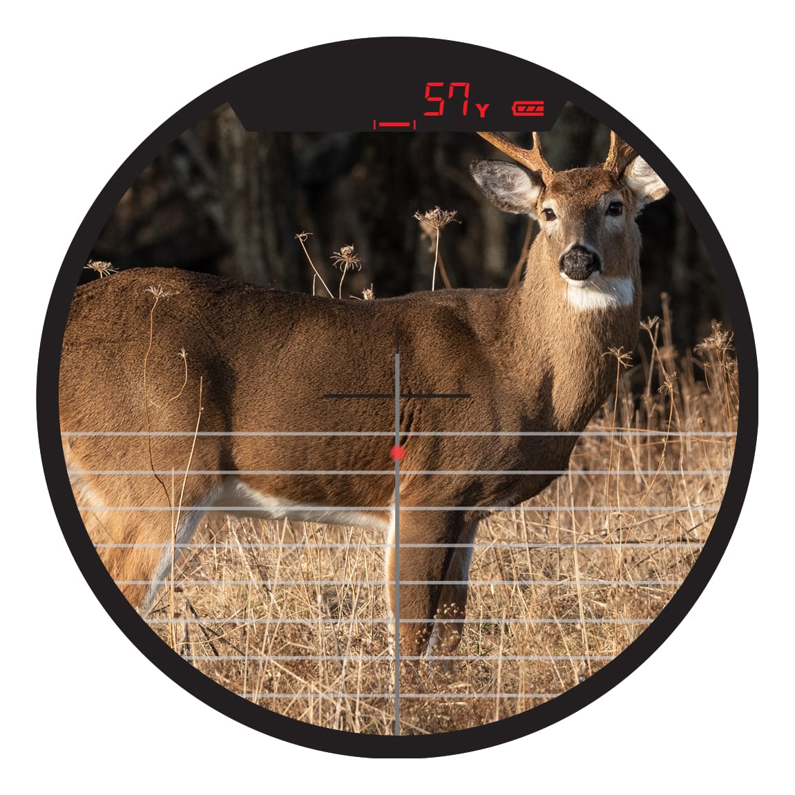 Burris® Oracle X Crossbow Rangefinding Scope Cabelas Canada