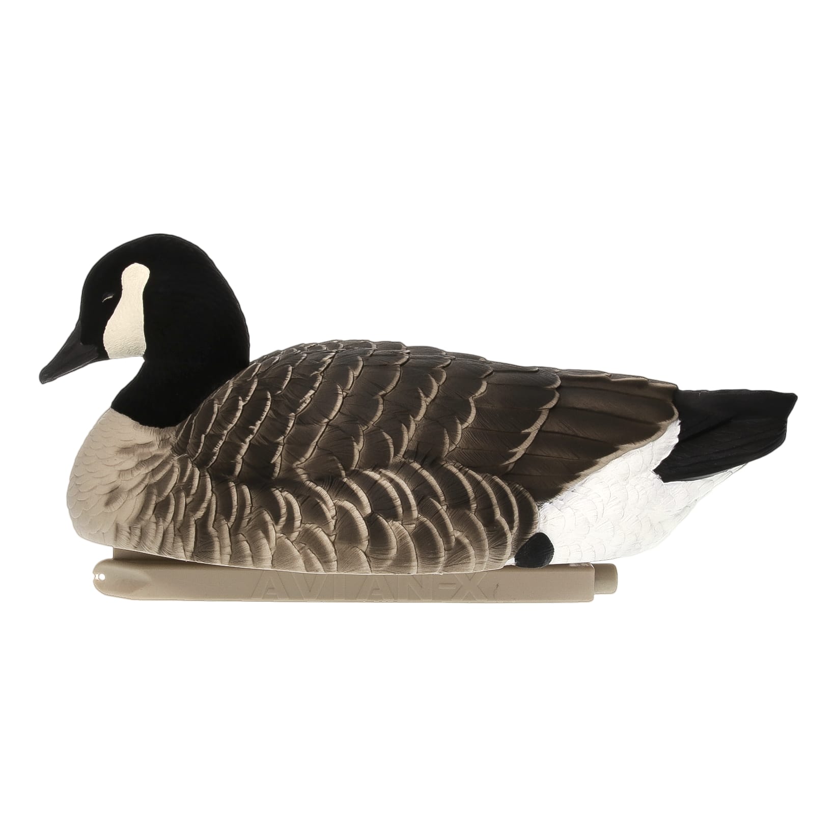 AvianX® Topflight Lessers Floating Goose Decoys Cabela's Canada