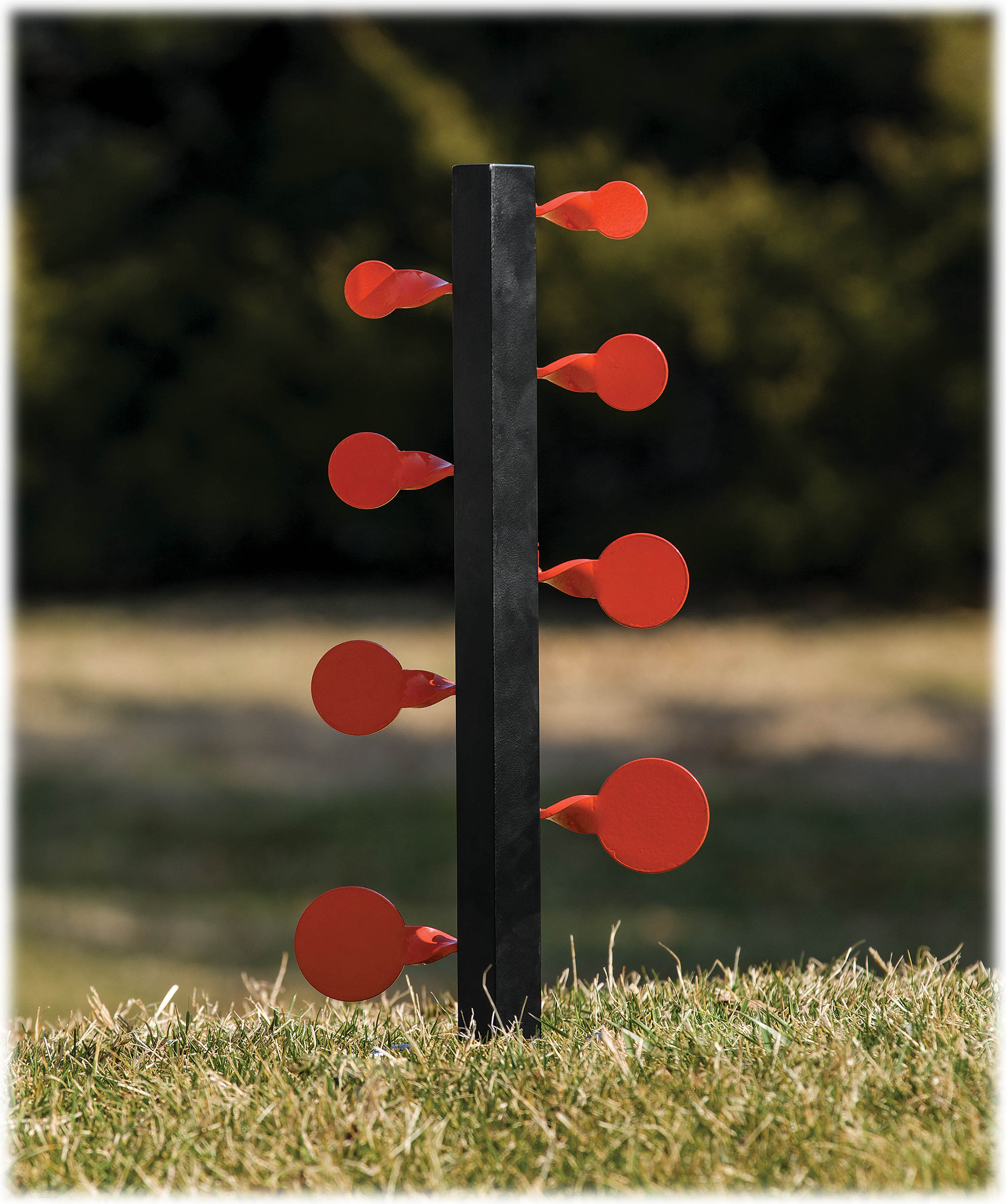 Magnum Rimfire Dueling Tree Cabela's Canada