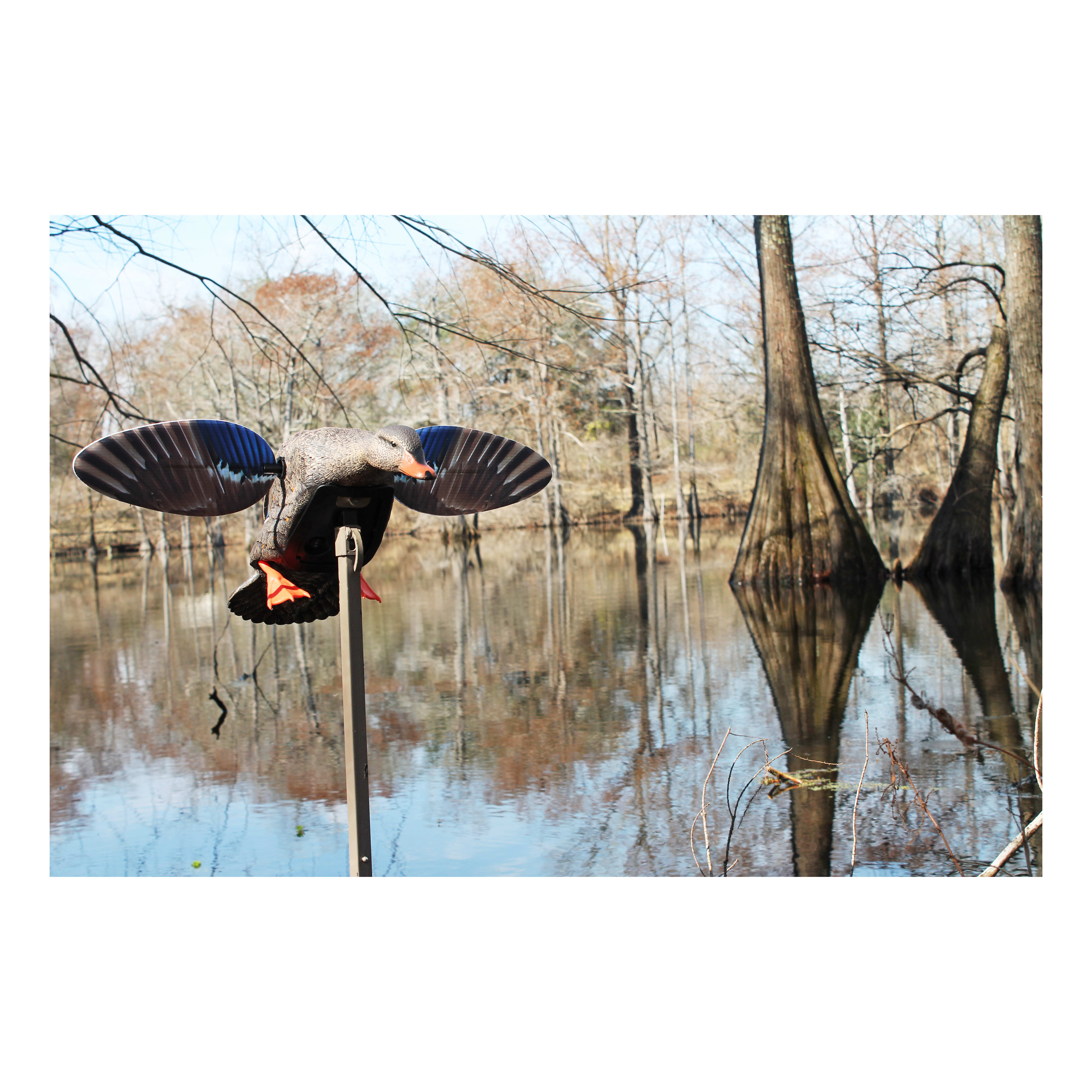 MOJO® Outdoors Elite Series™ Mini Mallard Hen Motorized Duck Decoy