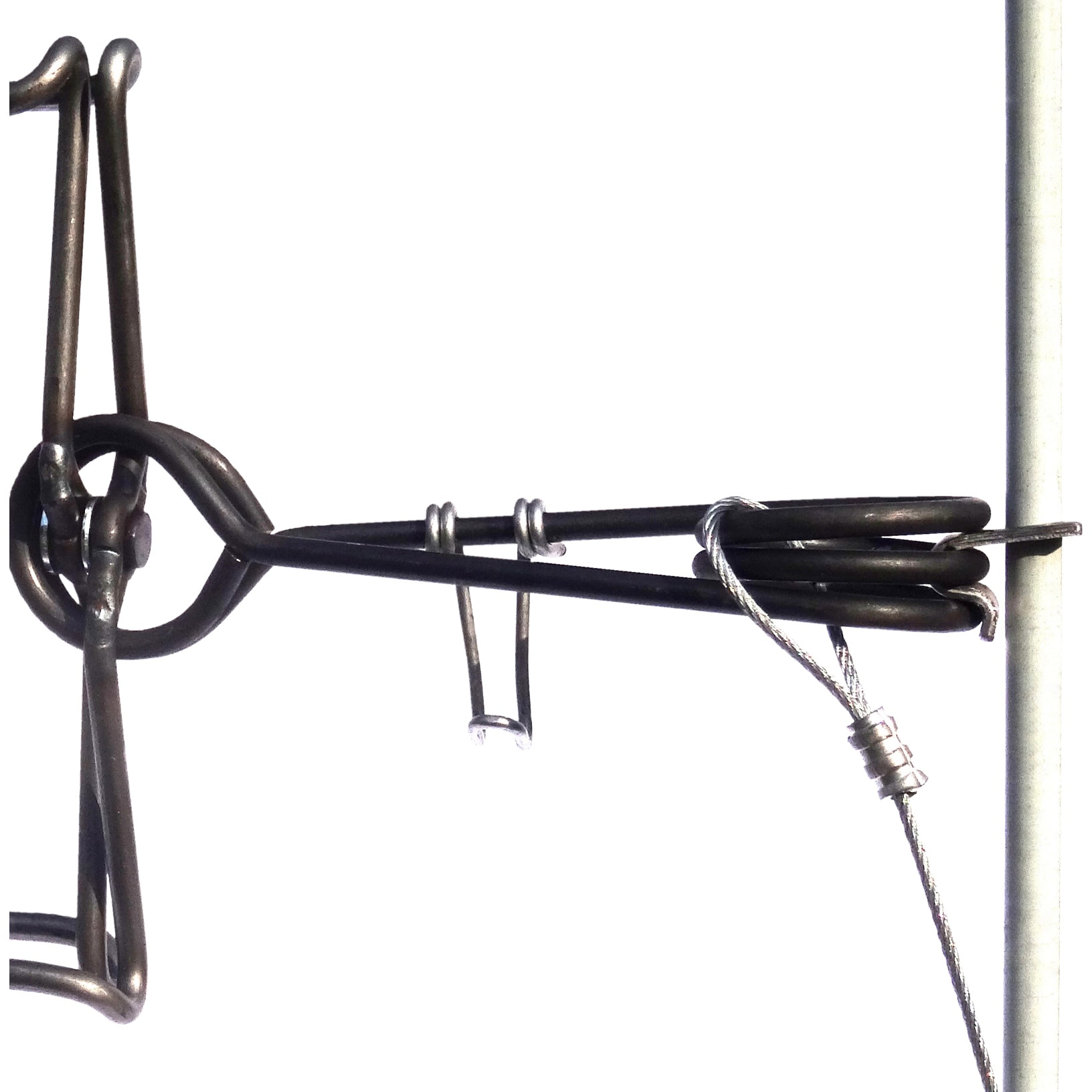 HAGz Body Grip Trap Spring Clips Cabela's Canada