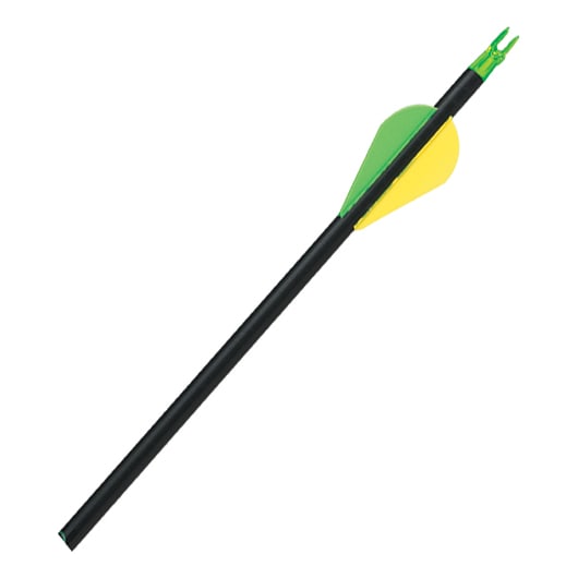 Cabela’s® Stalker Extreme Carbon Arrows w/ Blazer Vanes Cabela's Canada
