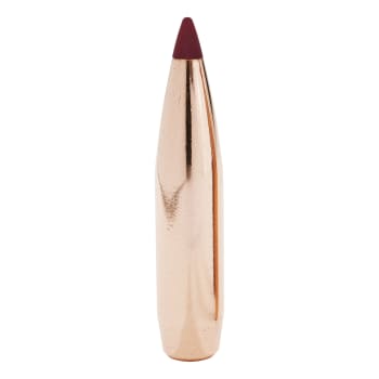 Hornady® Precision Hunter Rifle Ammunition - Bullet Detail