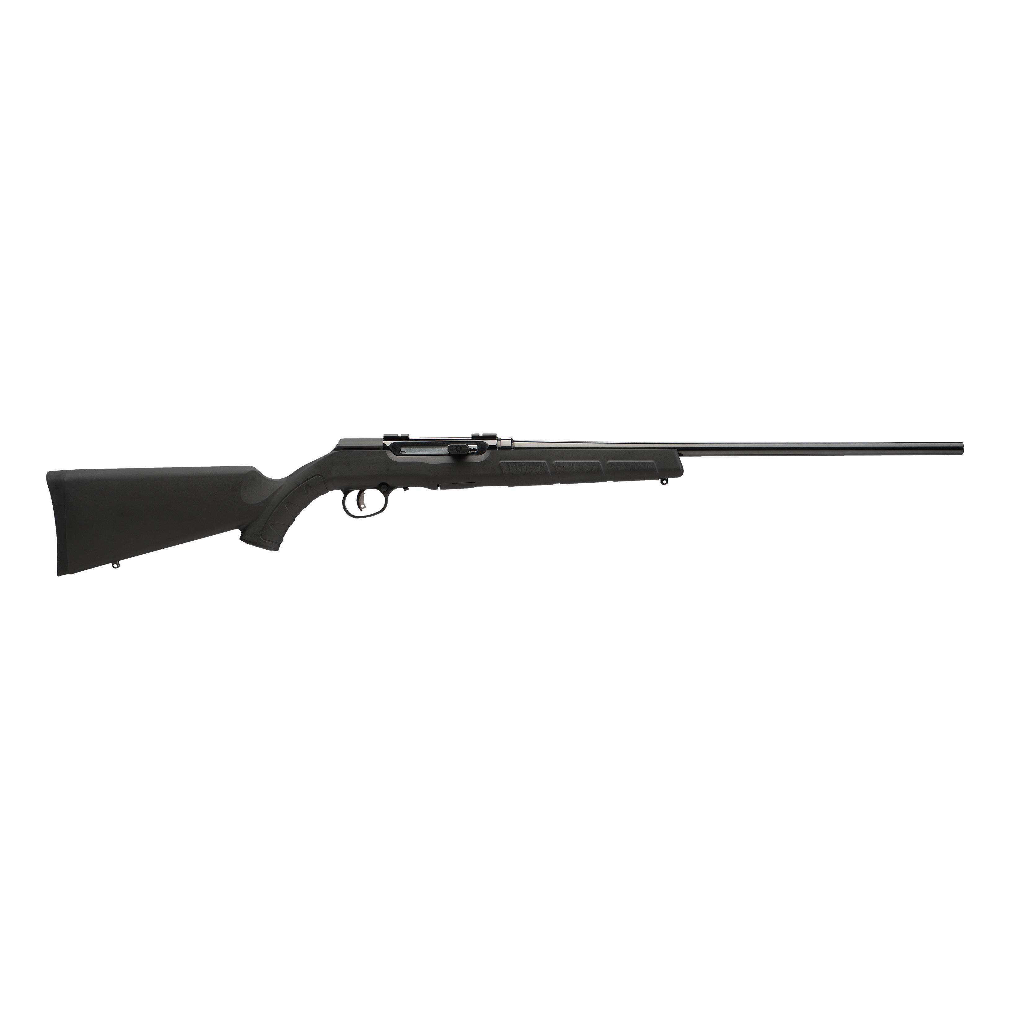 Savage® Model A17 .17 HMR Semi-Auto Rifle