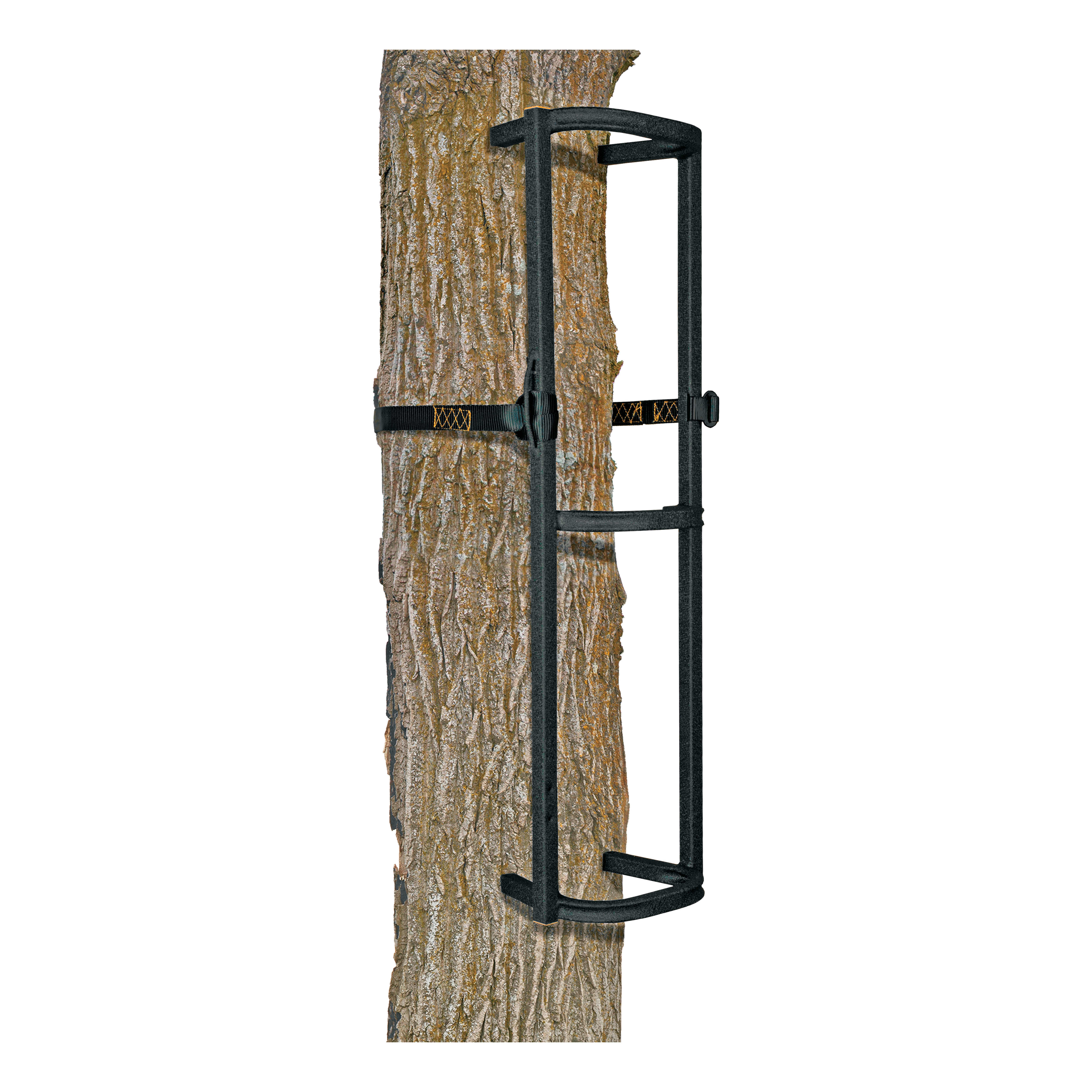 Treestands Cabela s Canada