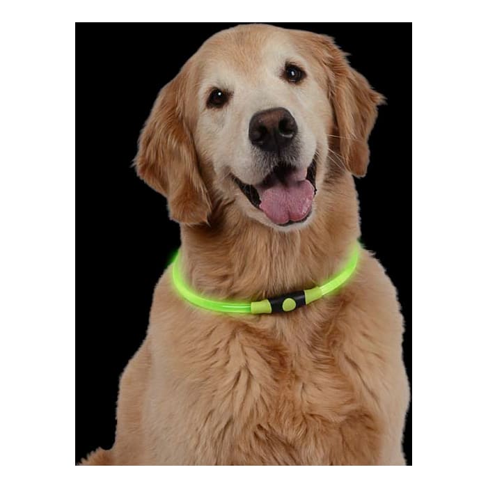 Nite Ize NiteHowl LED Pet Safety Necklace - Green In Use