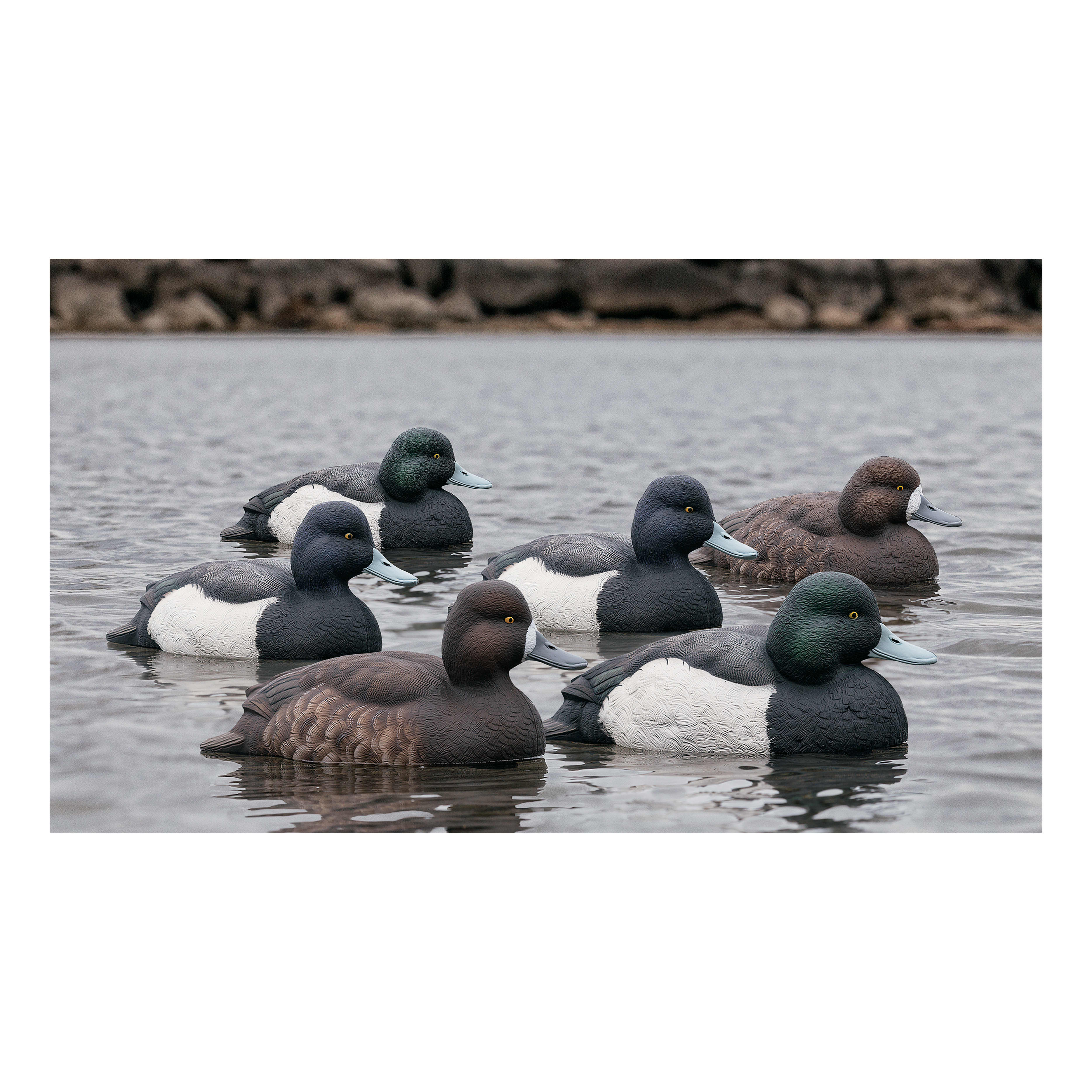 Avian-X Topflight Bluebill Duck Decoys – Six-Pack