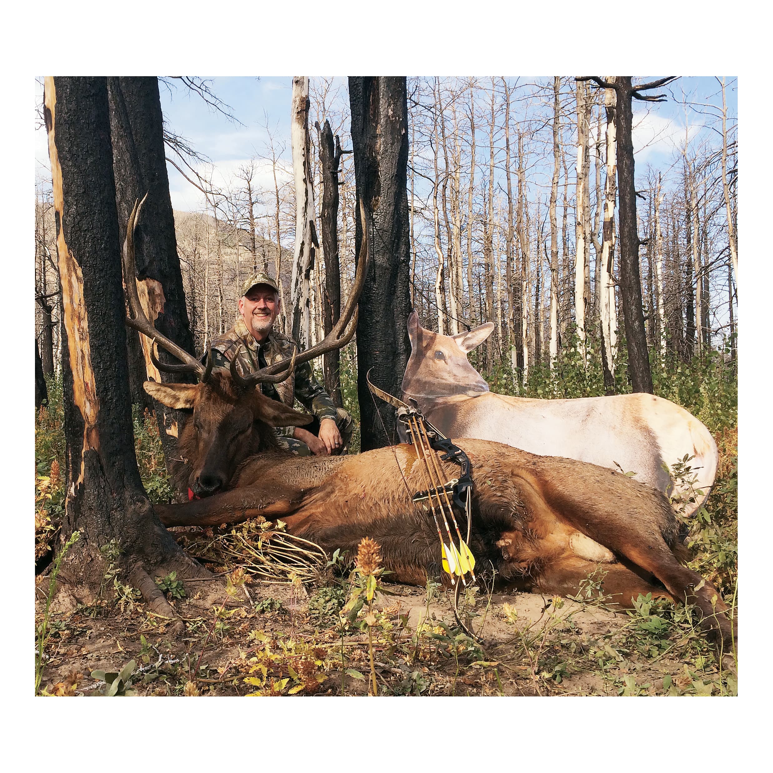 Montana Decoy RMEF Elk Decoy - In The Field