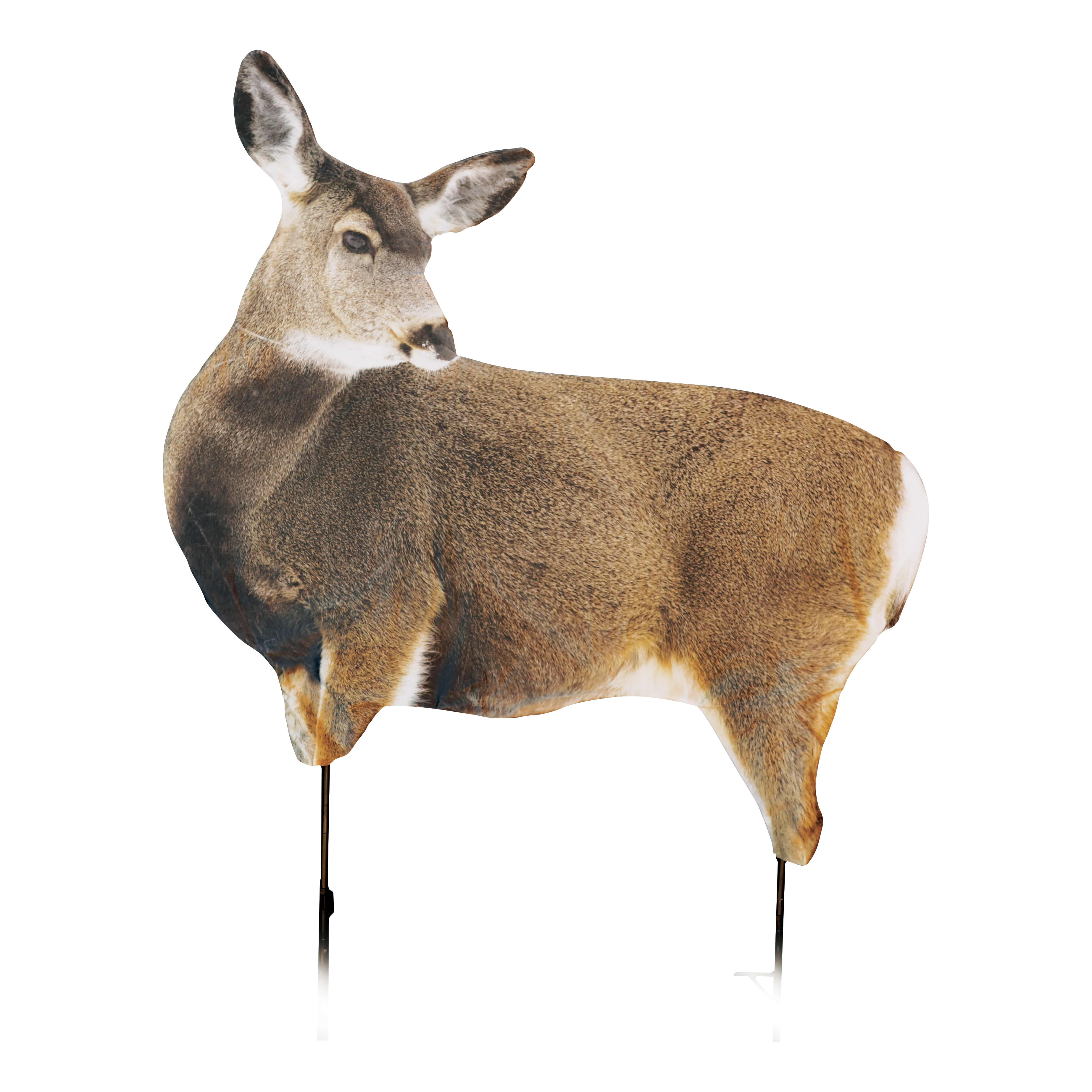 Montana Decoy Miss Muley Decoy