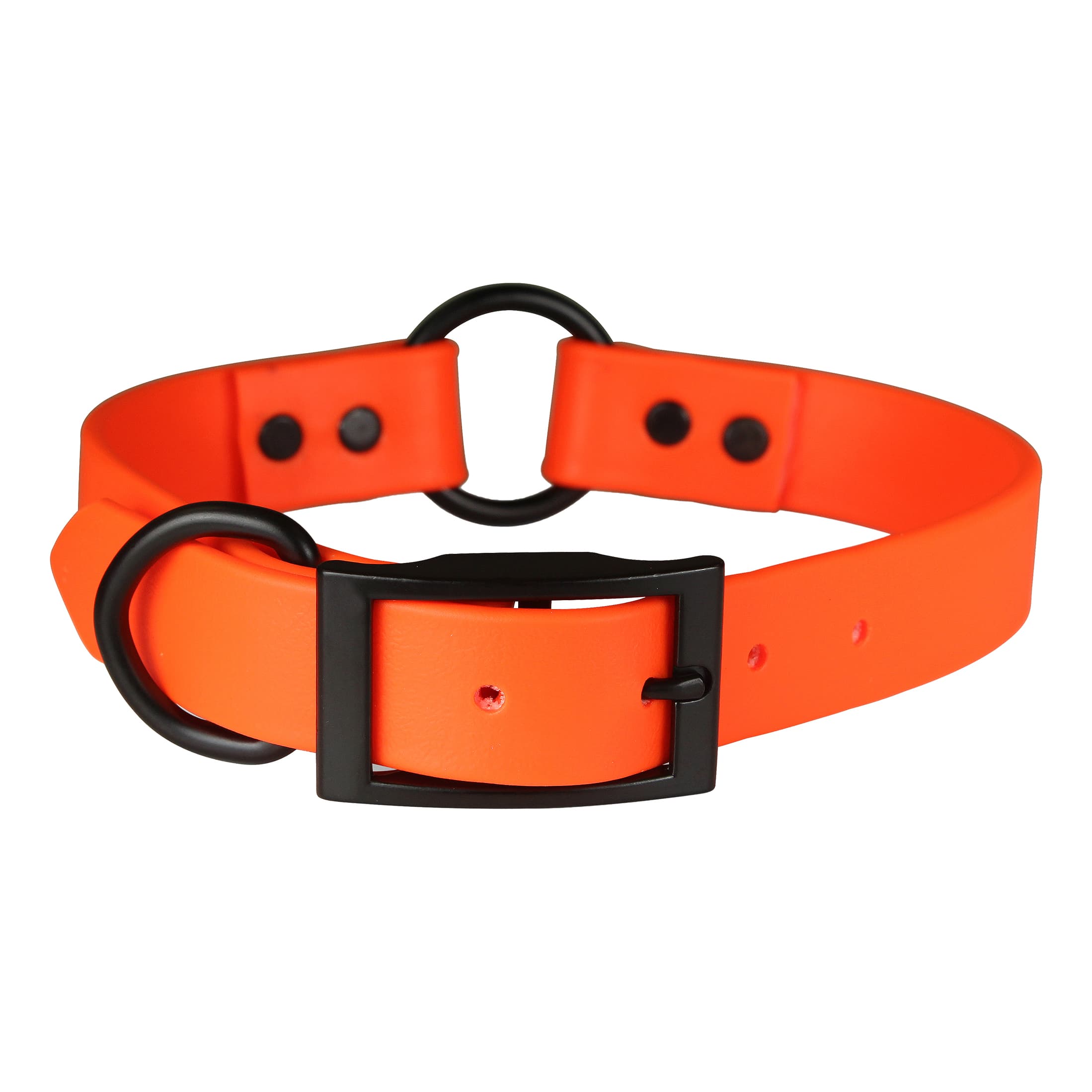 Omni Pet Zeta 1" Ring-In-Centre Collar