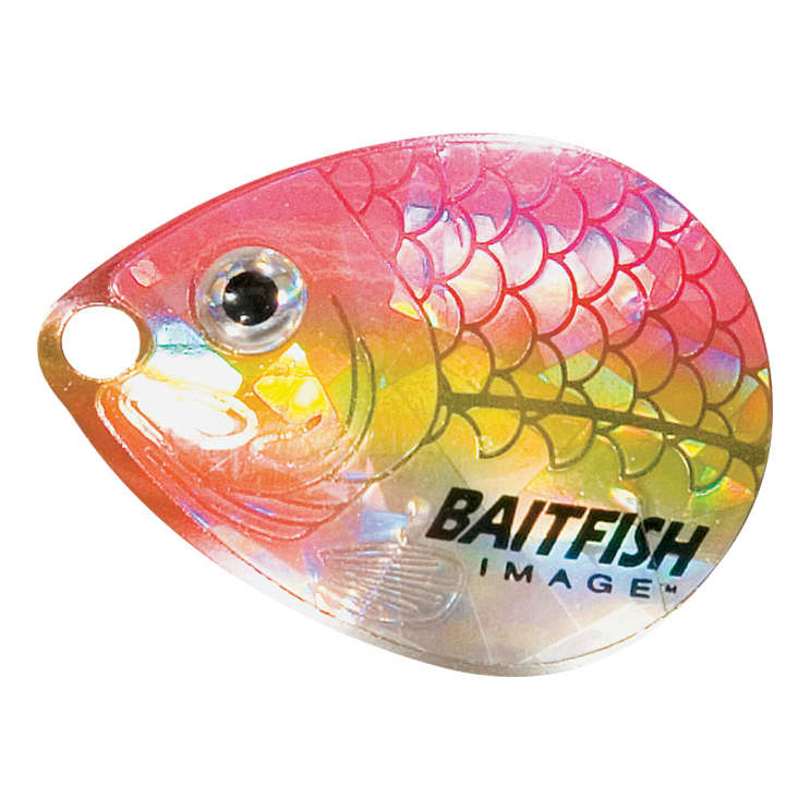 Northland® Baitfish-Image® Colorado Blade - Dace Pink