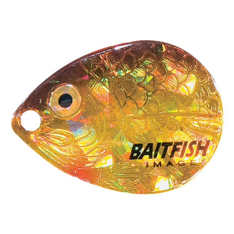 Northland® Baitfish-Image® Colorado Blade - Gold Shiner