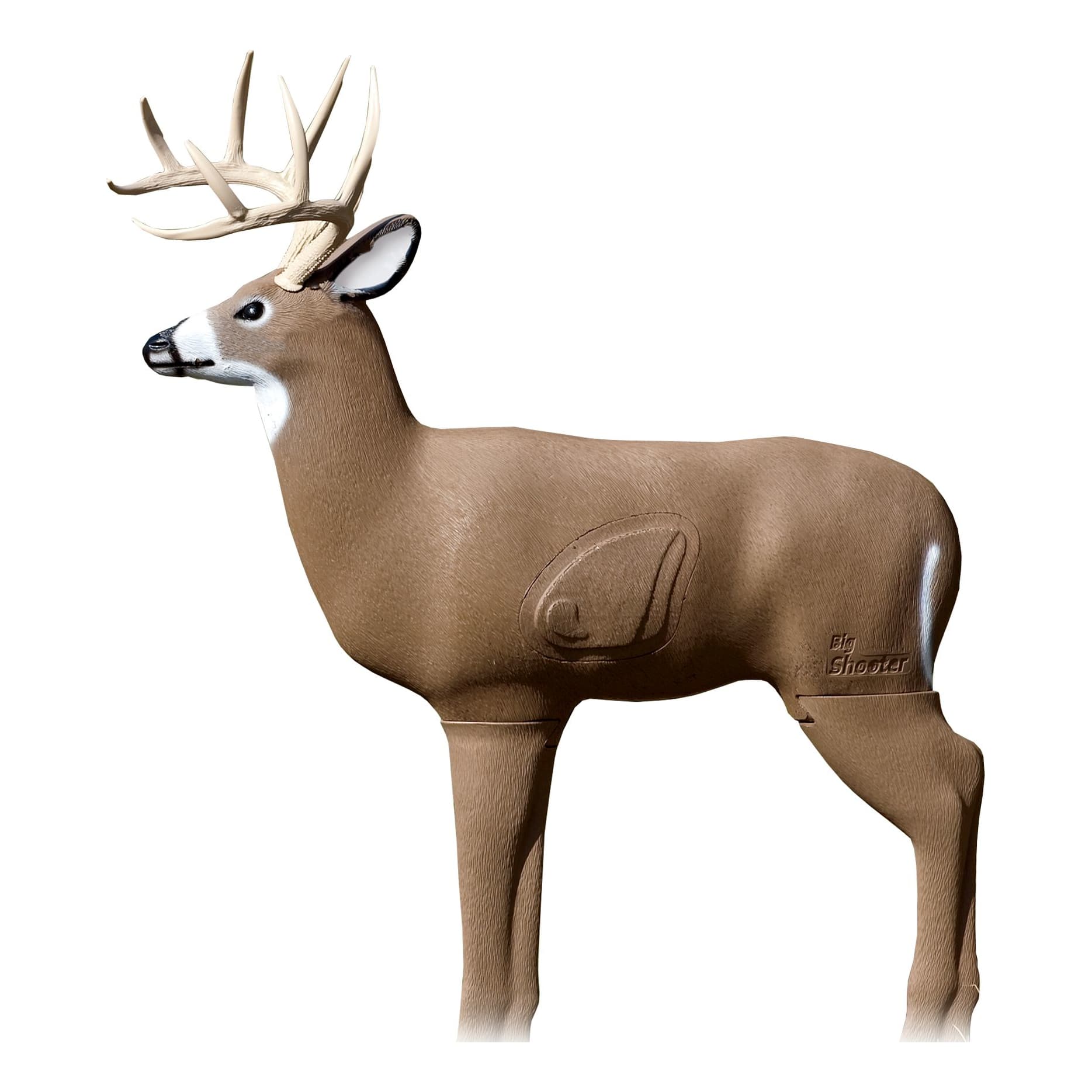 Shooter® Targets Big Shooter Buck 3D Archery Target