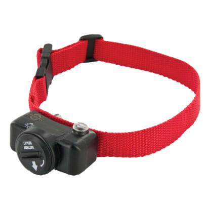 Dog boundary collar wireless sales