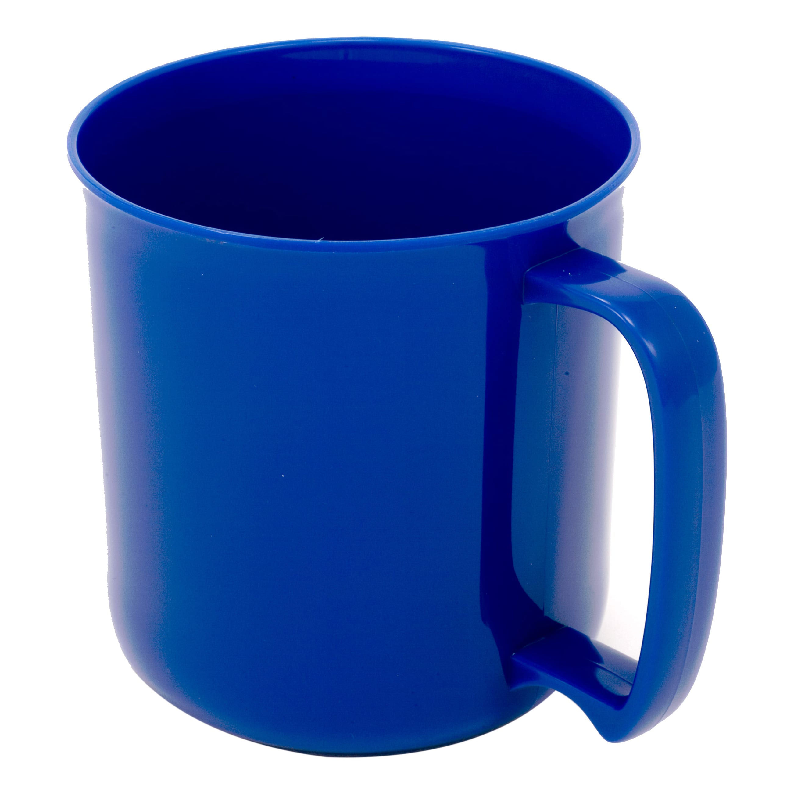 GSI Cascadian Mug - Blue