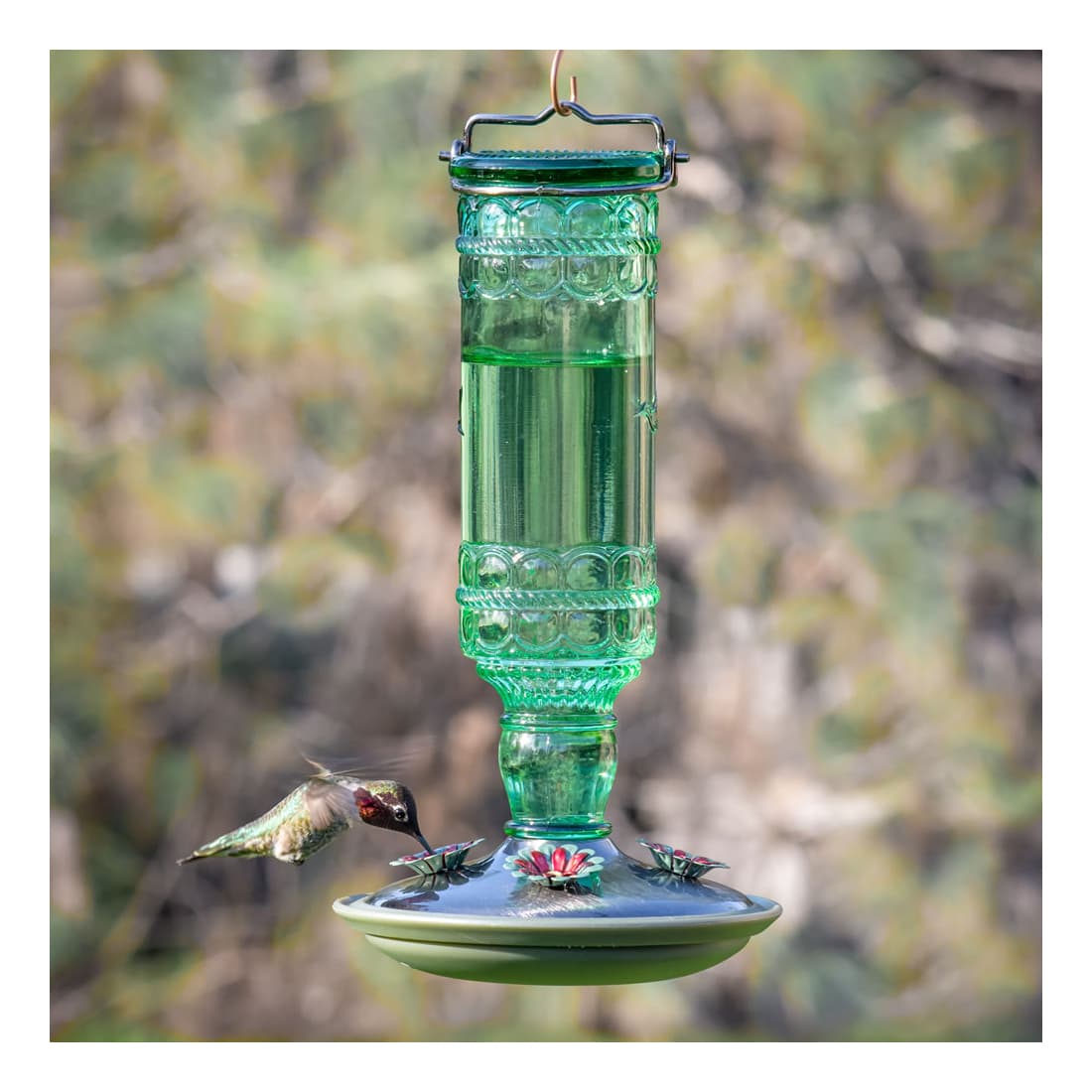 Perky-Pet® Antique Bottle Hummingbird Feeder - In the Field