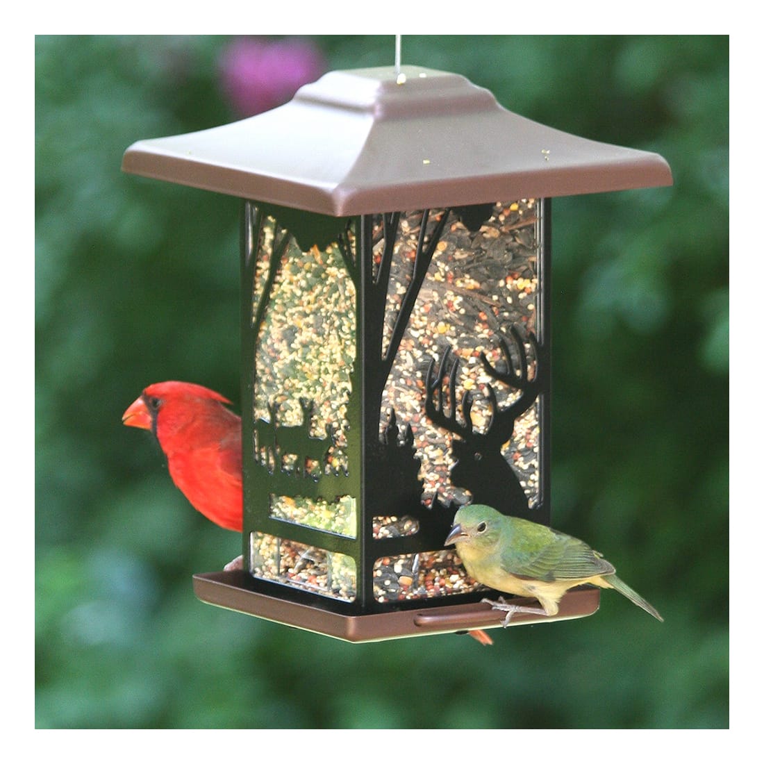 Perky-Pet® Wilderness Lantern Bird Feeder - In the Field