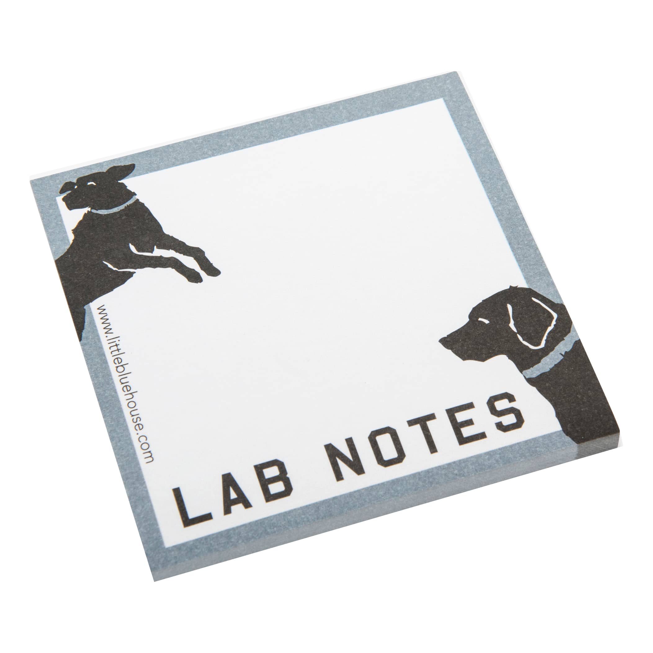Lab notes